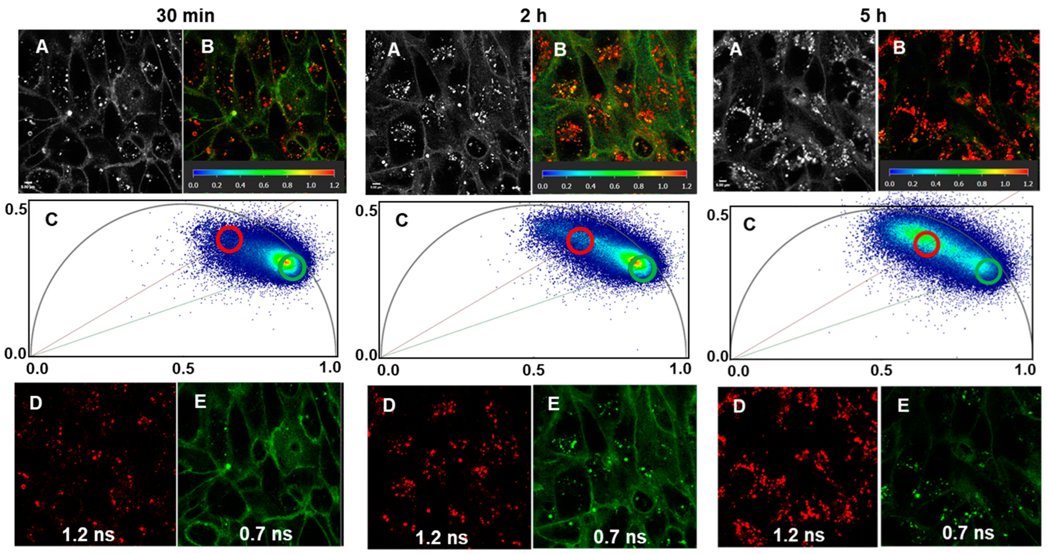 Molecules 29 02474 g009 Molecules 29 02474 g009