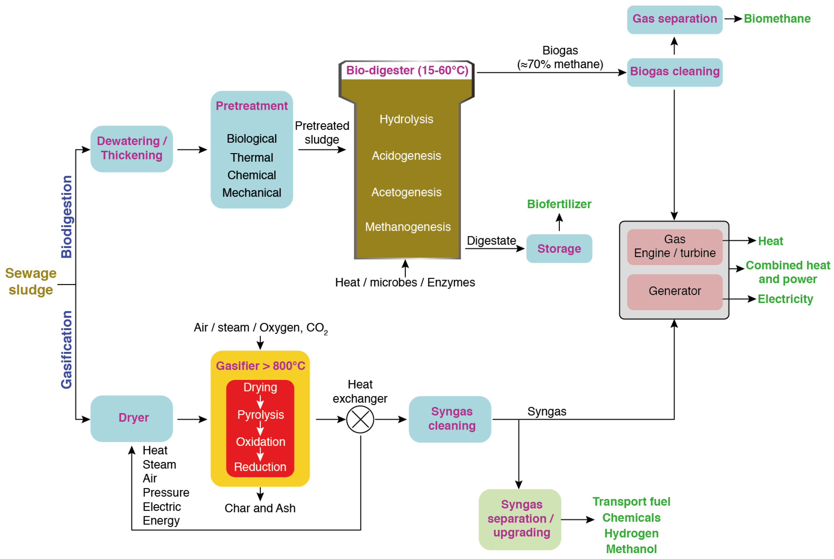 Molecules 29 02477 g002