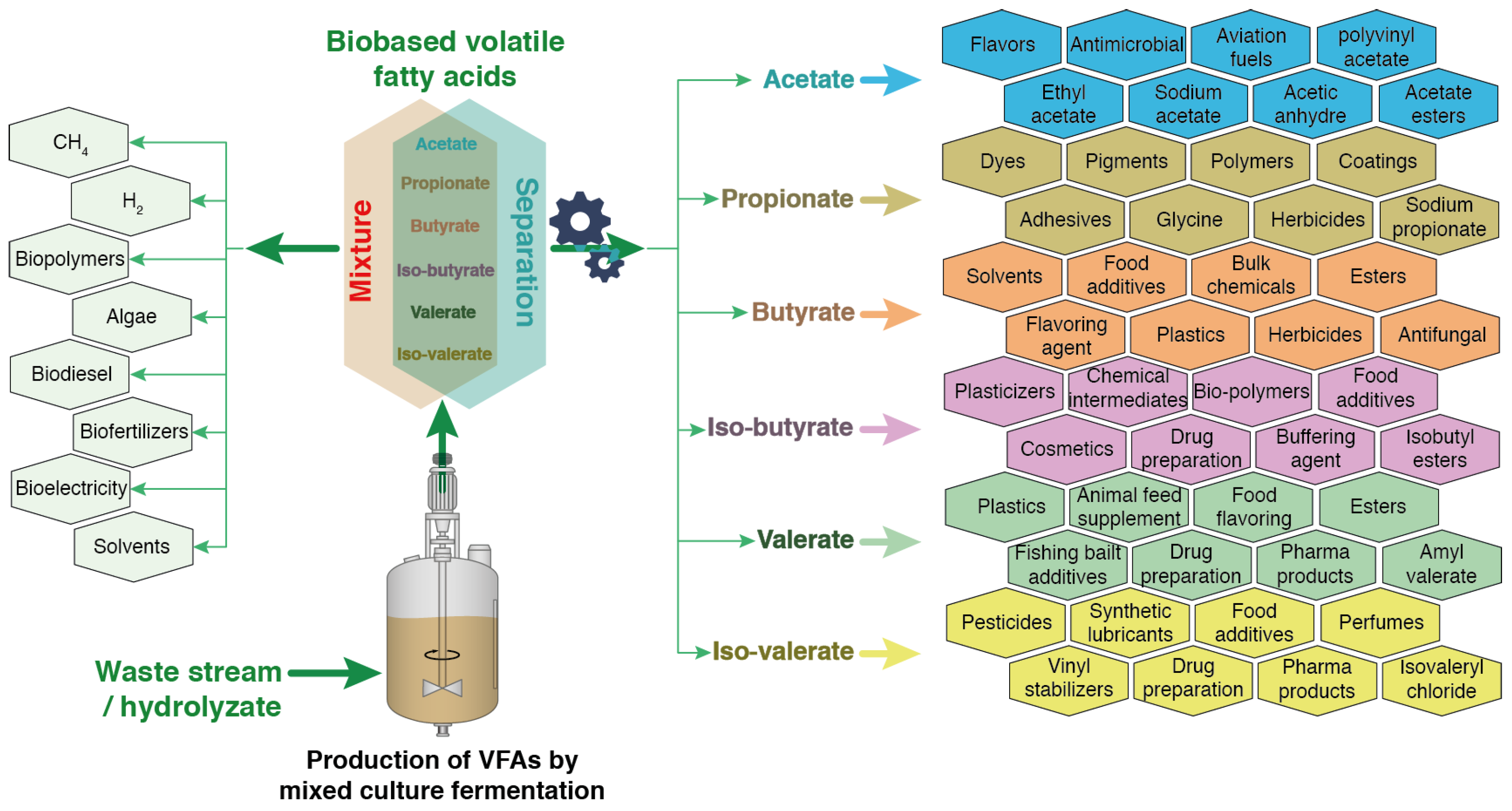 Molecules 29 02477 g004