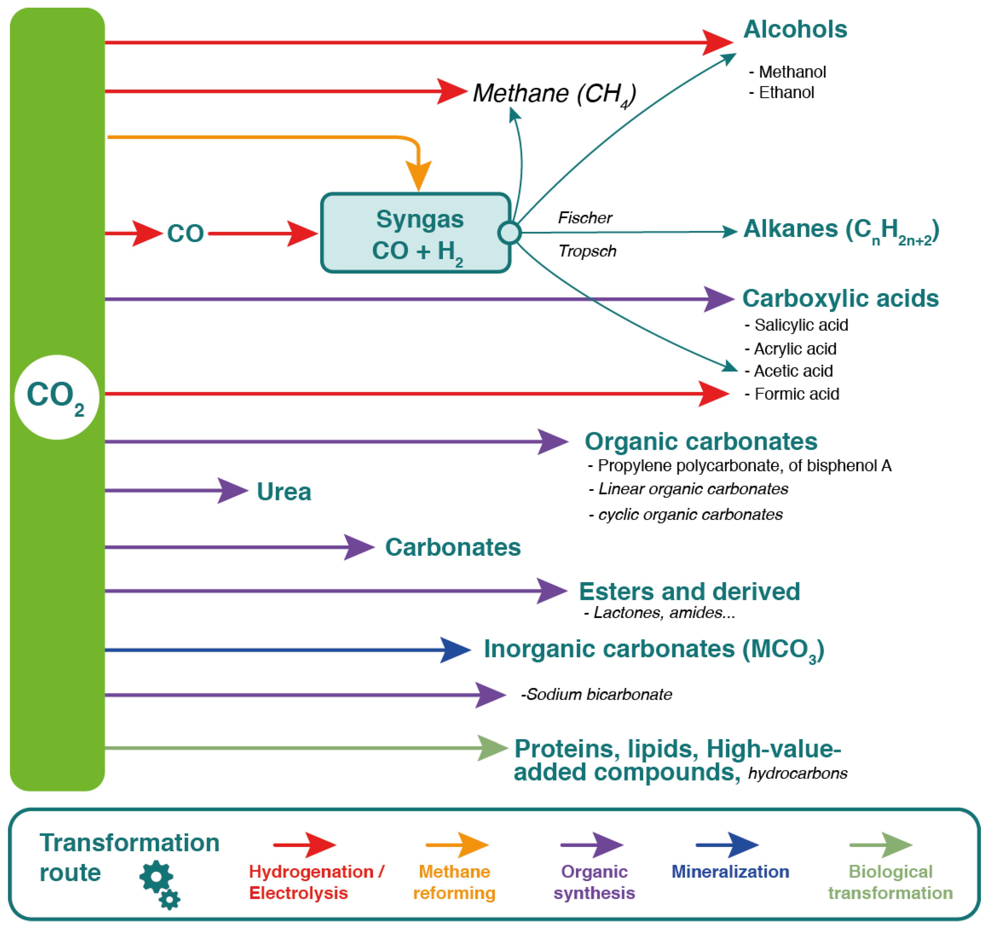 Molecules 29 02477 g006