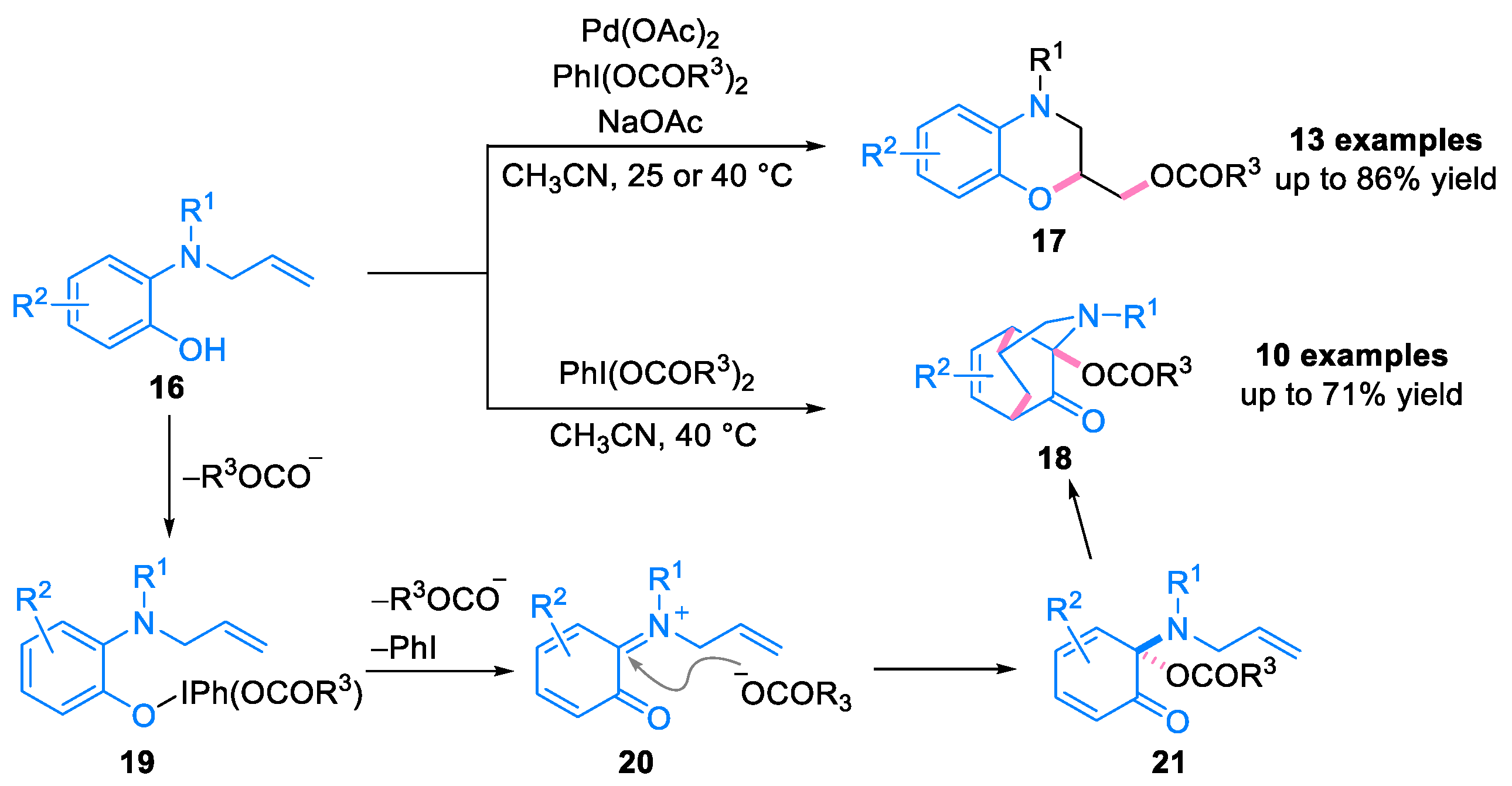 Molecules 29 02481 sch004