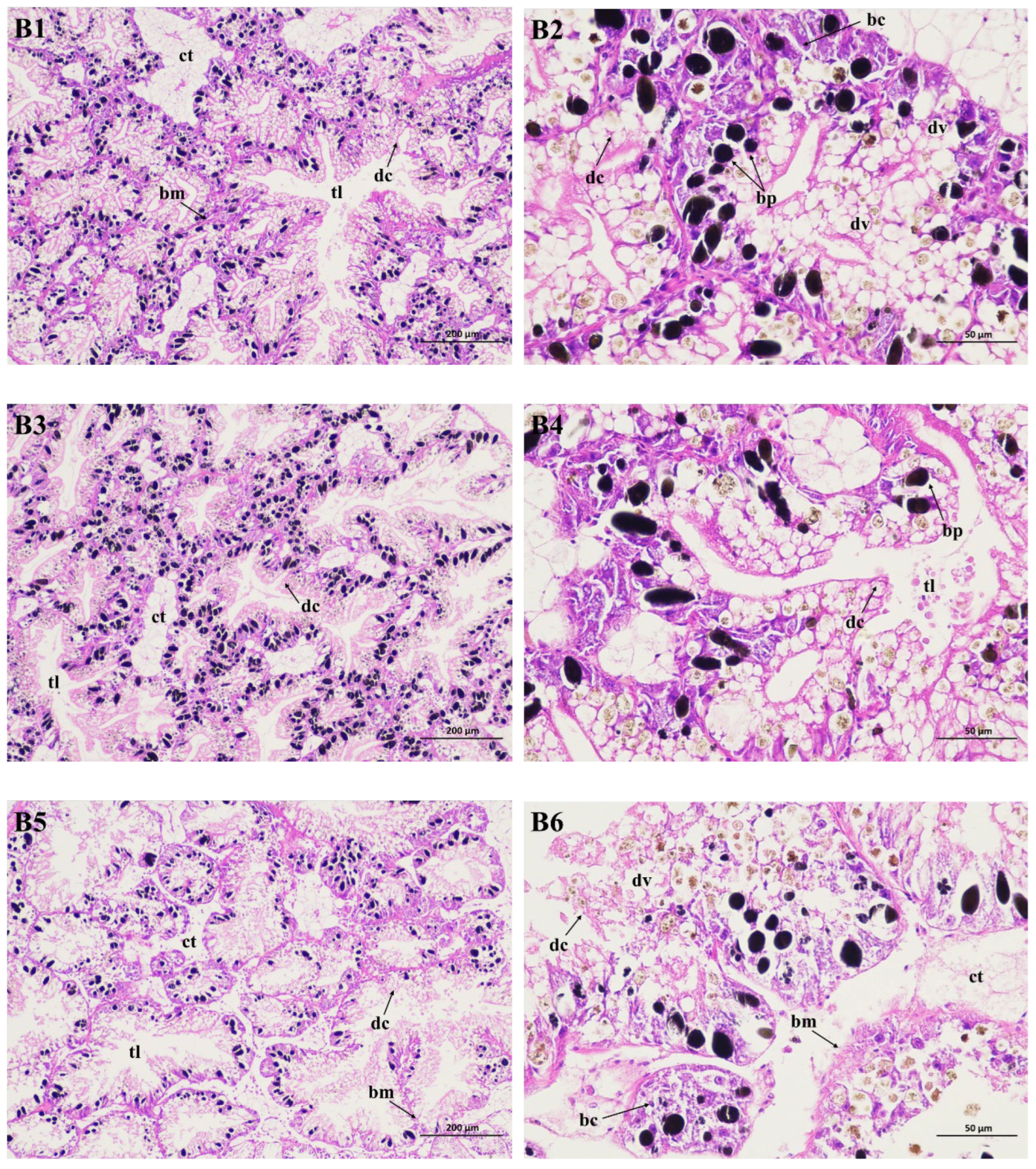 Molecules 29 02487 g004