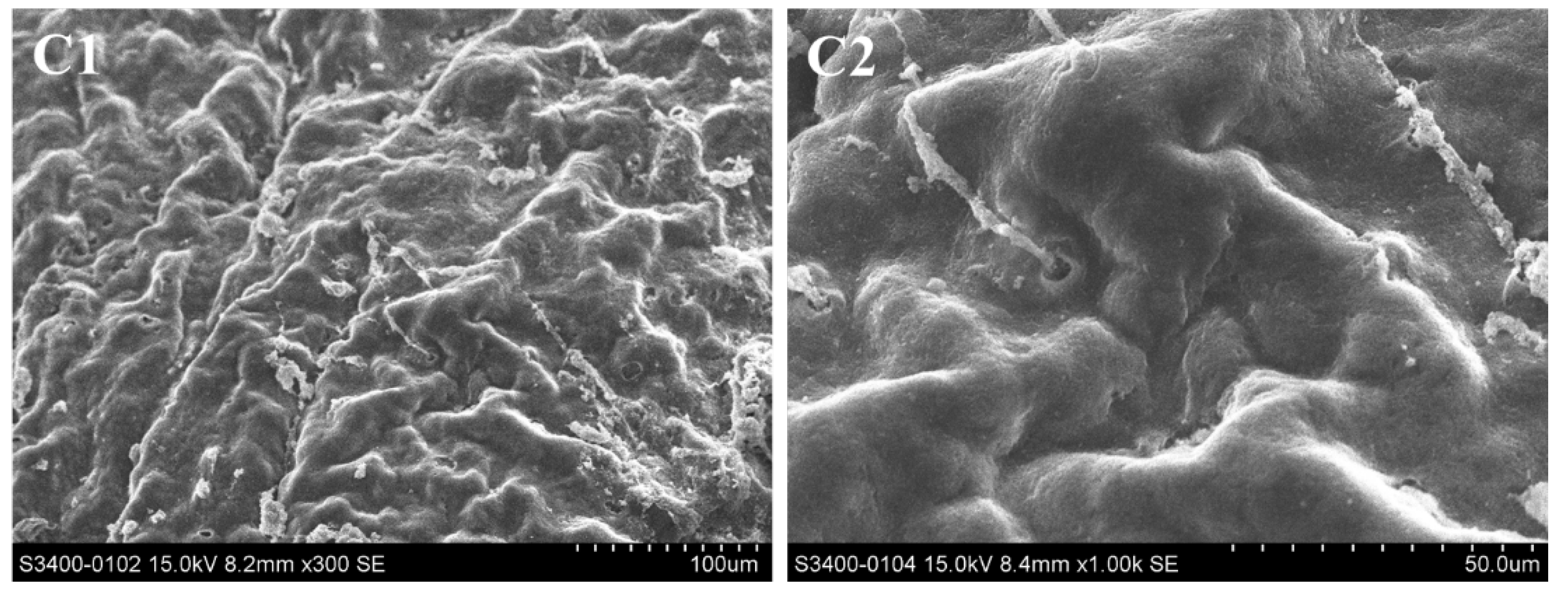 Molecules 29 02487 g005a