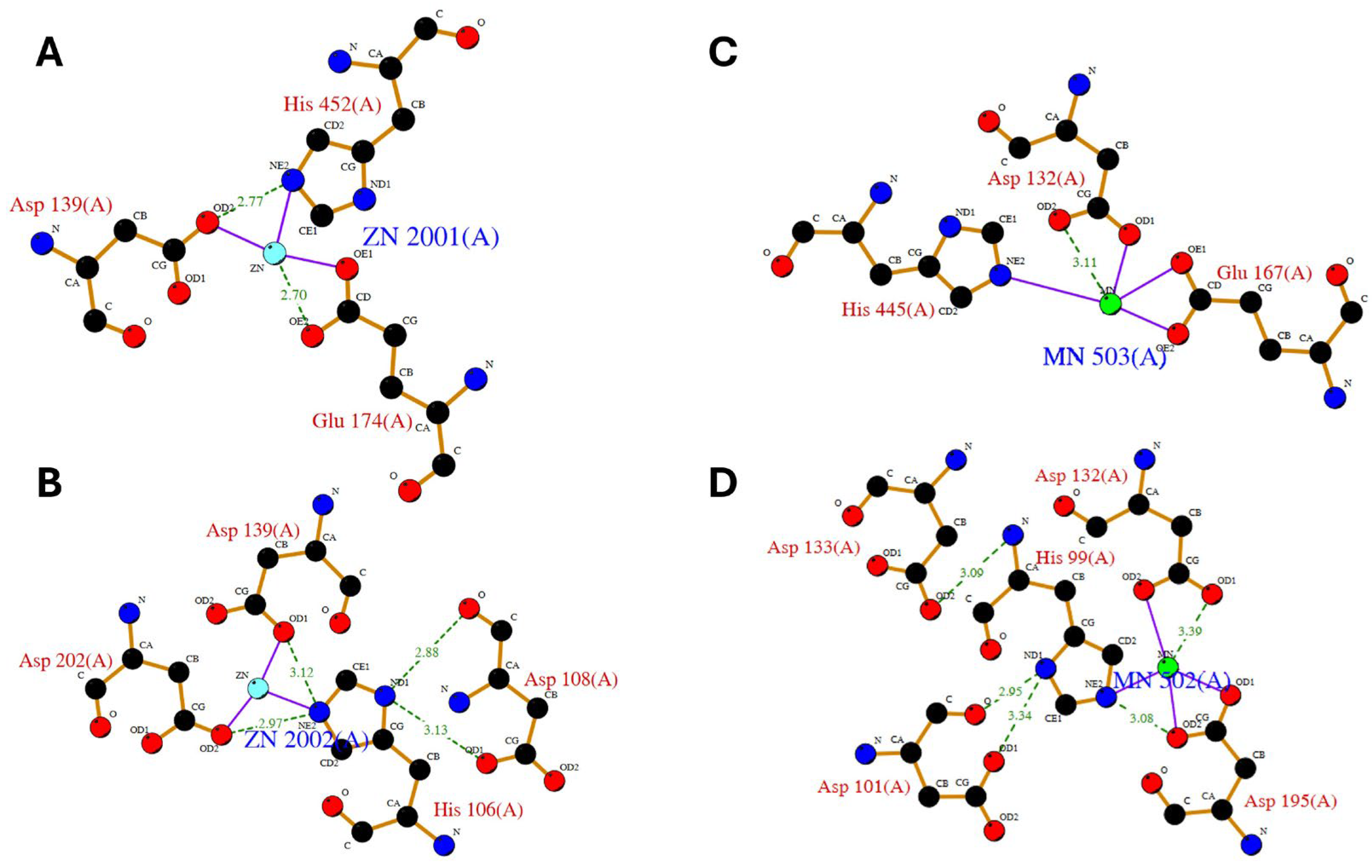 Molecules 29 02488 g003