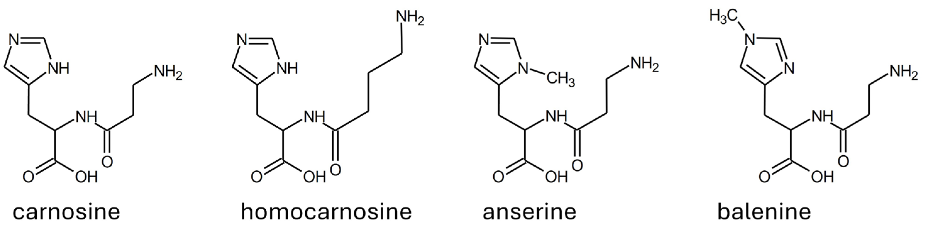 Molecules 29 02488 g004