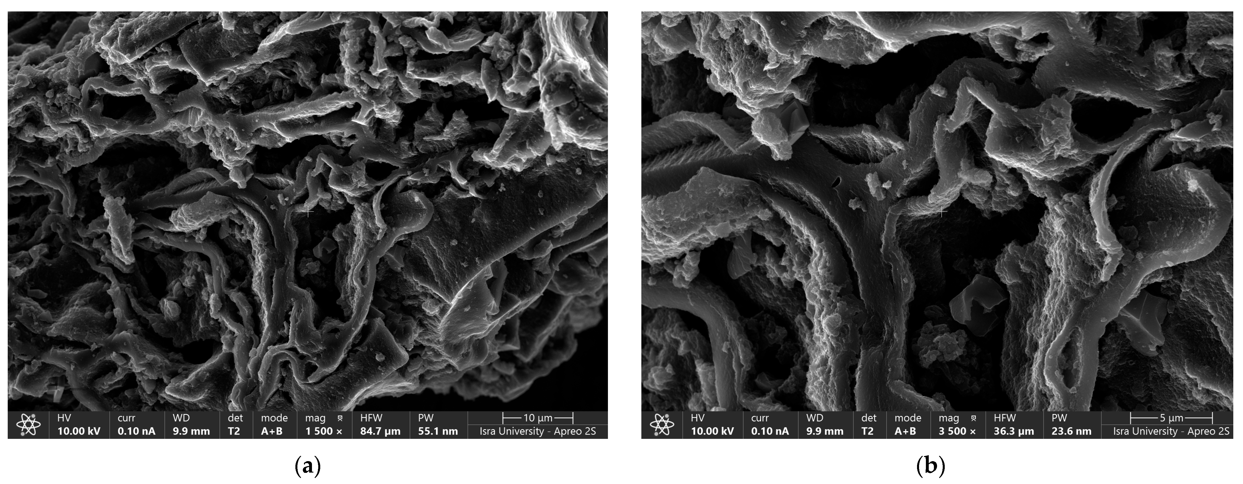 Molecules 29 02489 g003