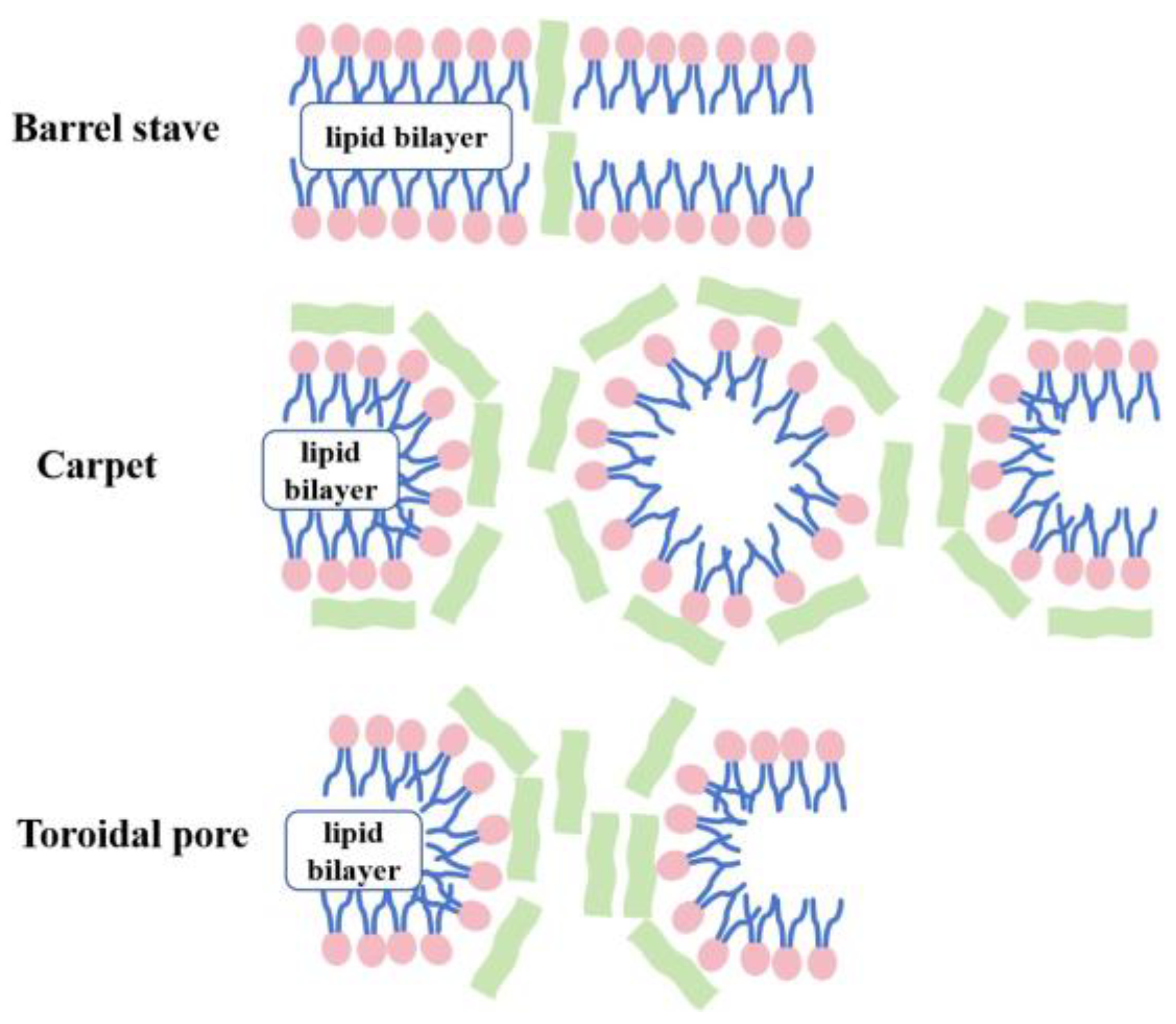 Molecules 29 02492 g002