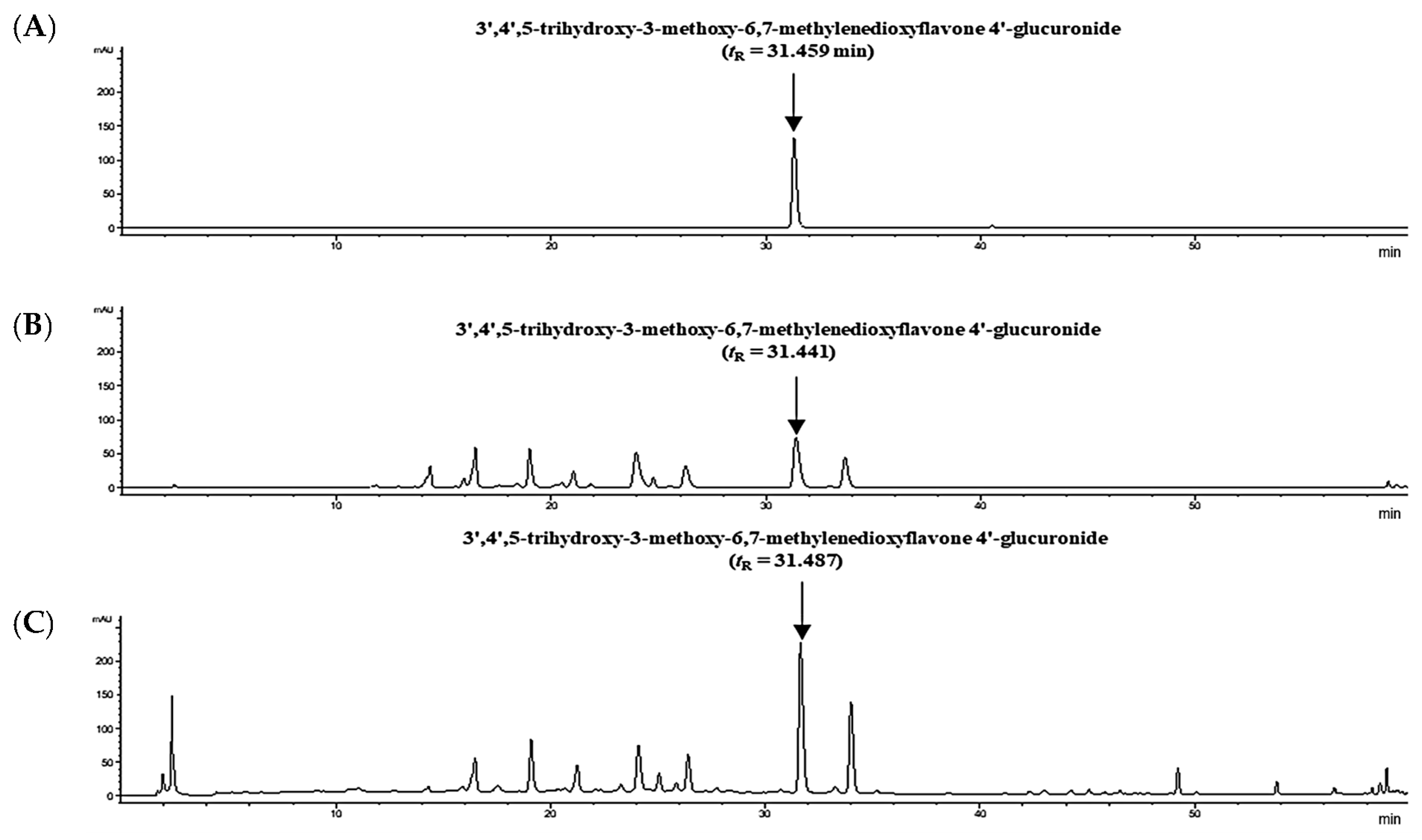 Molecules 29 02494 g002