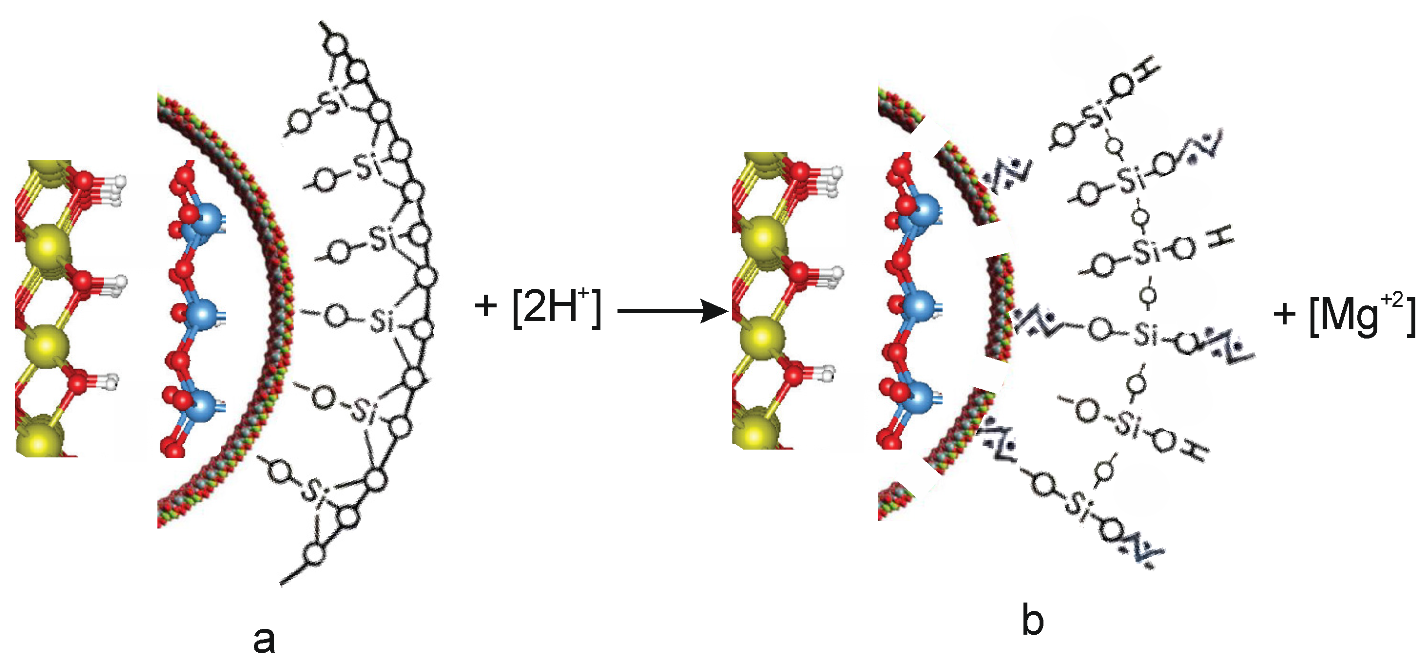 Molecules 29 02502 g007