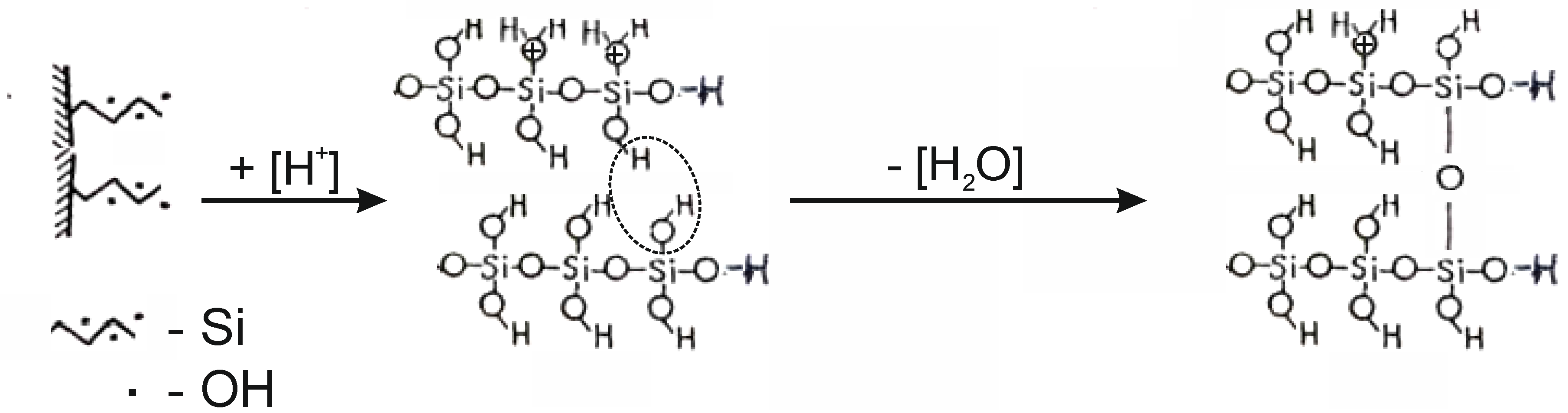 Molecules 29 02502 g008
