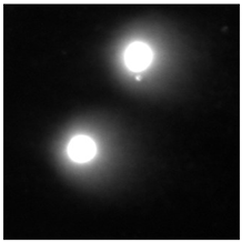 Molecules 29 02503 i001