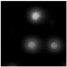Molecules 29 02503 i004