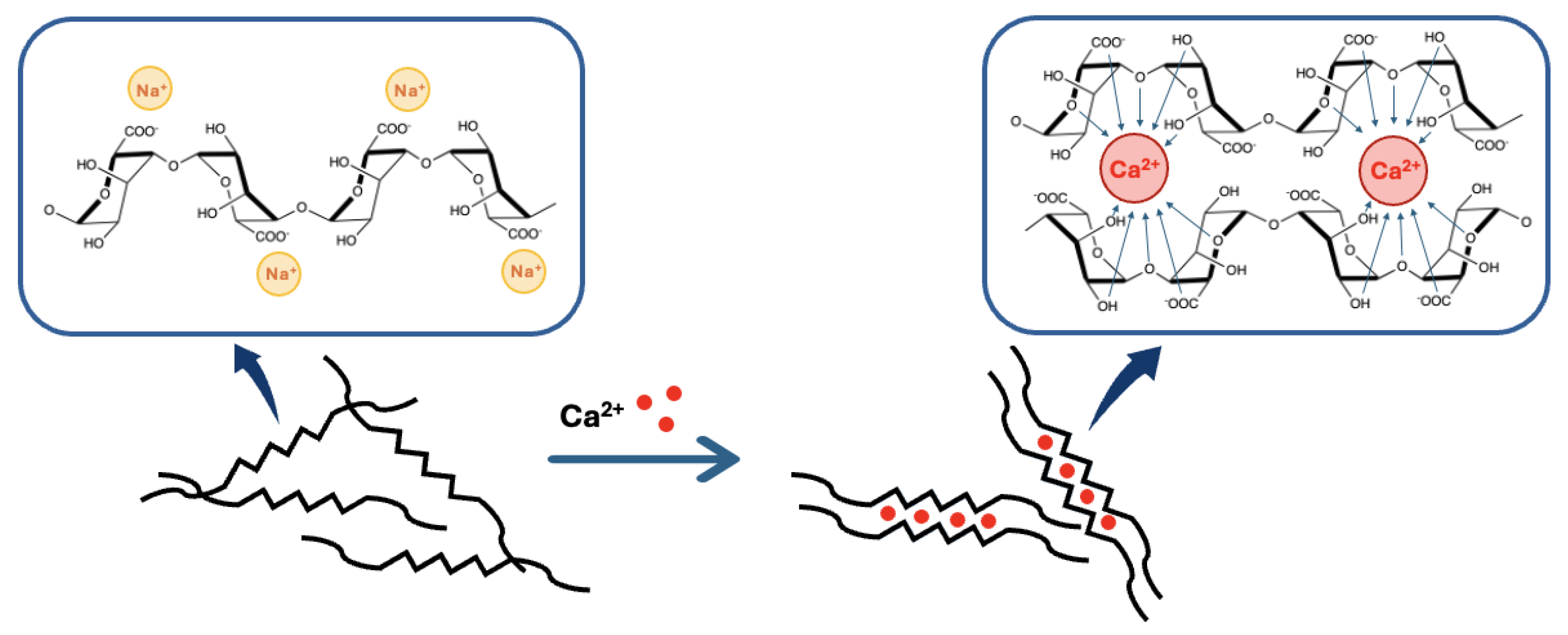 Molecules 29 02515 g005