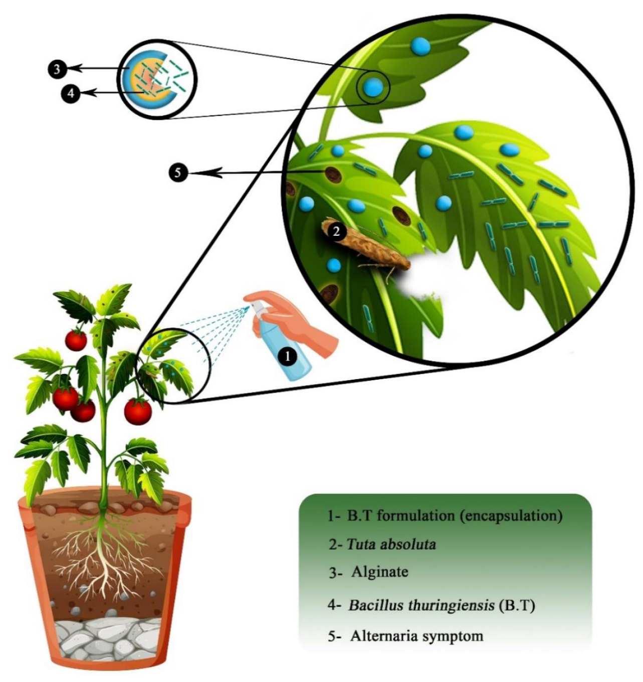 Molecules 29 02515 g014