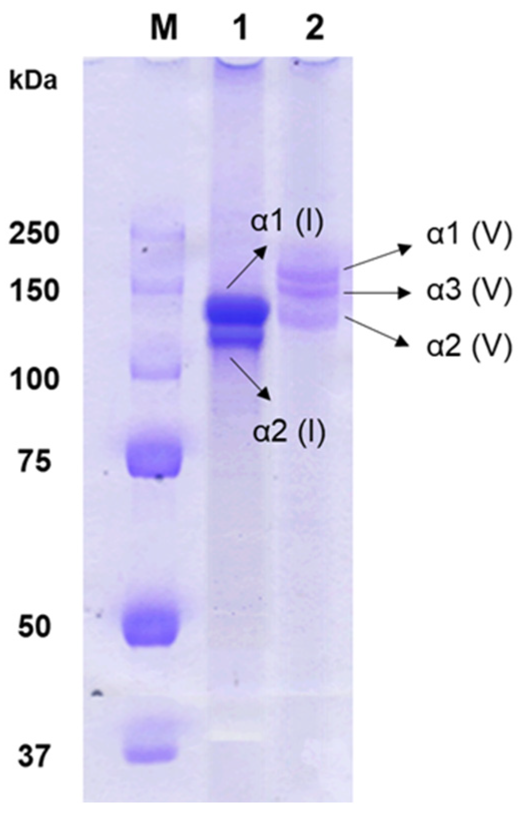 Molecules 29 02518 g001