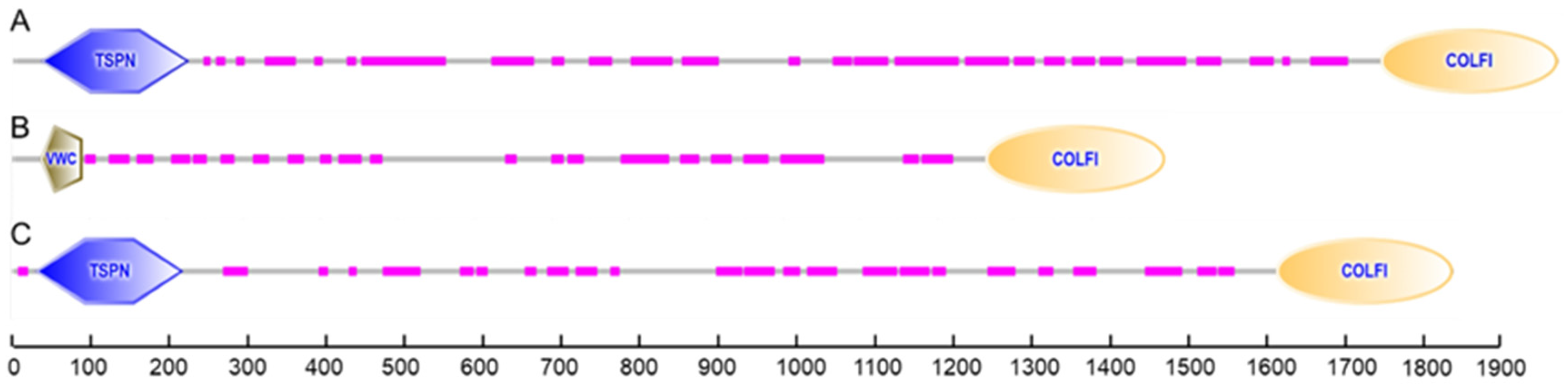 Molecules 29 02518 g004