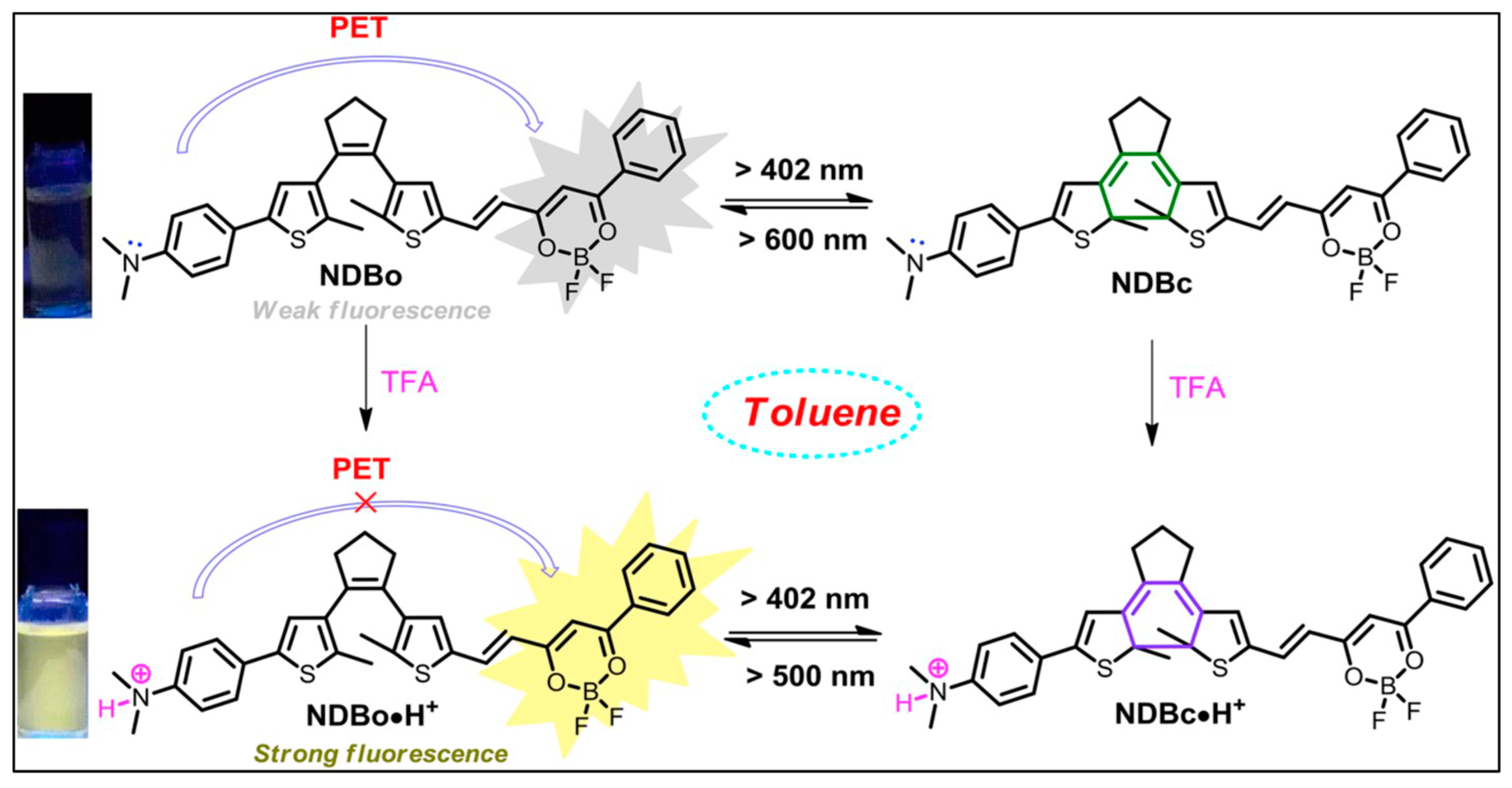 Molecules 29 02521 g001