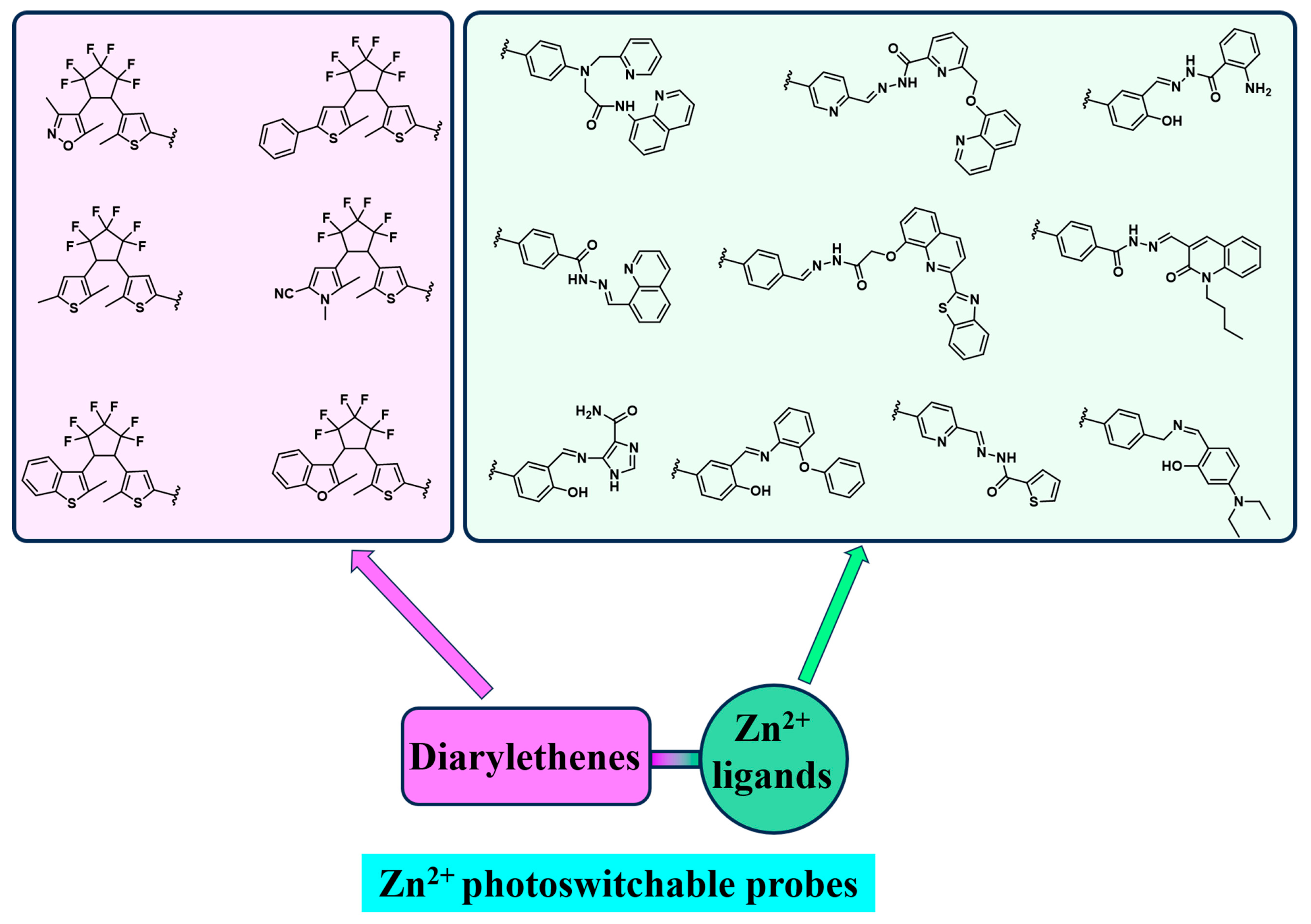Molecules 29 02521 g005