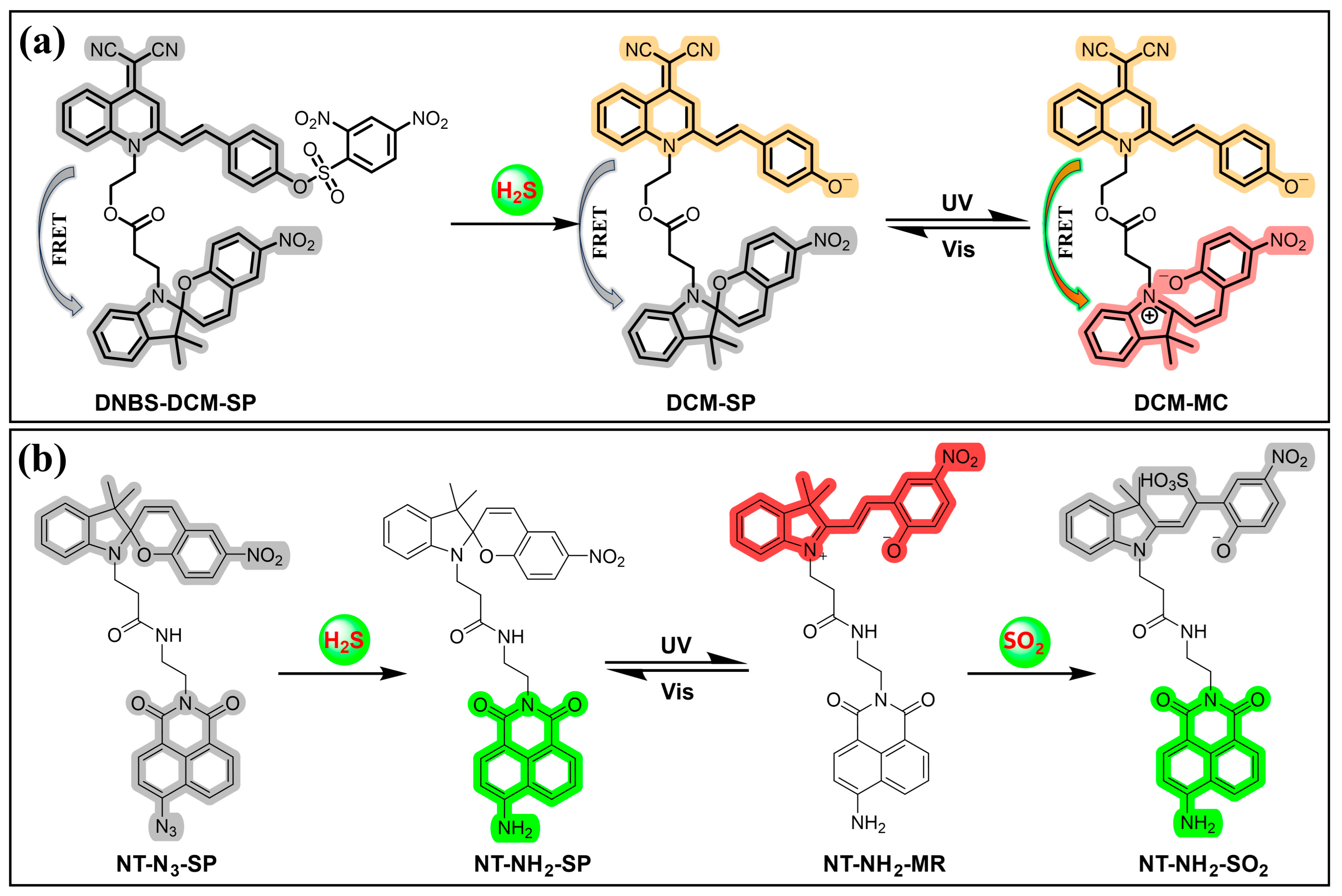 Molecules 29 02521 g014