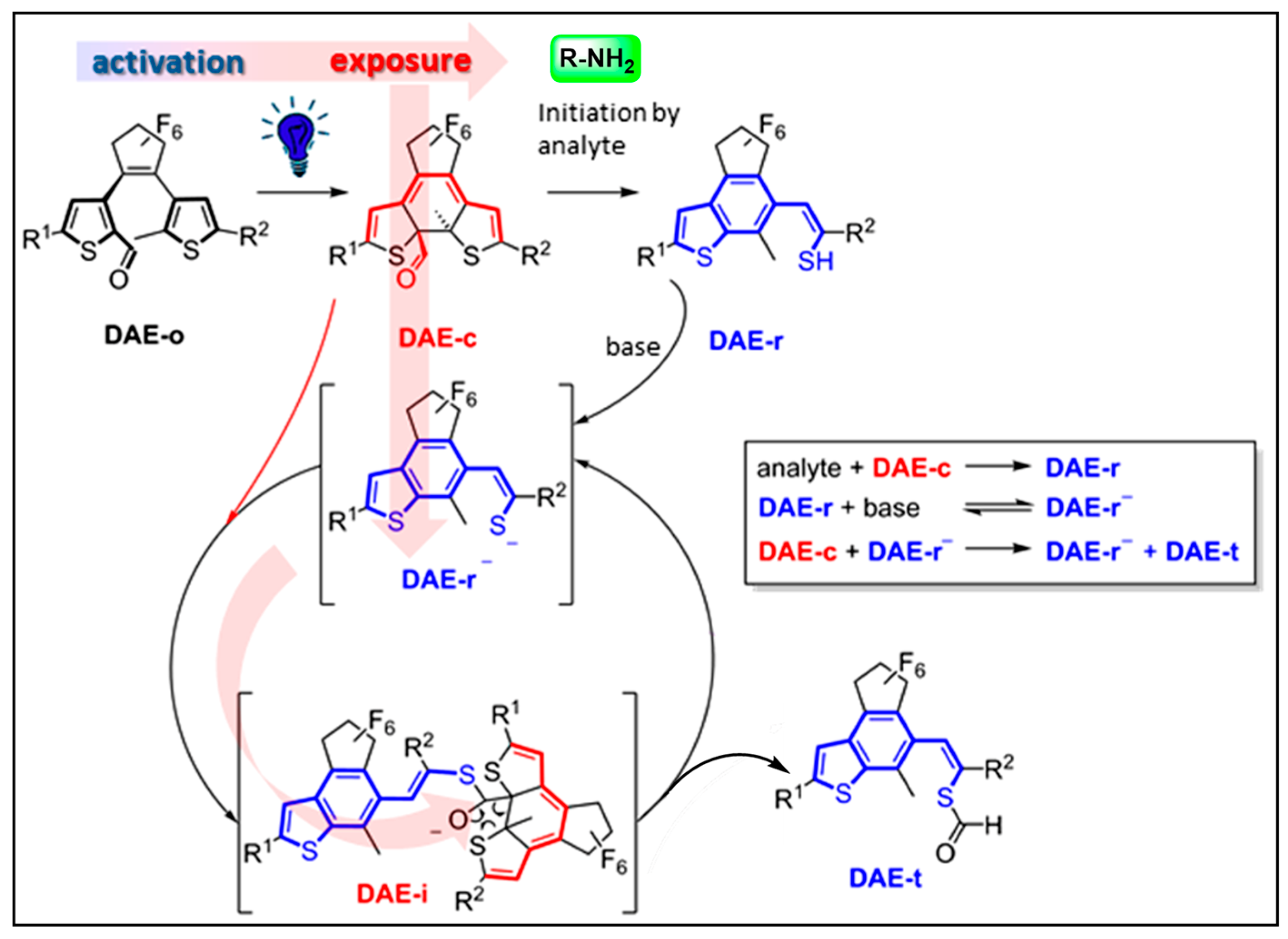 Molecules 29 02521 g015
