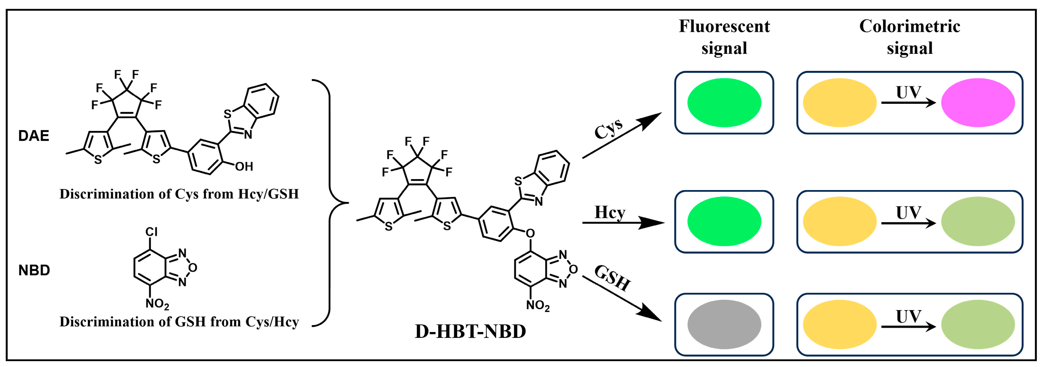 Molecules 29 02521 g016