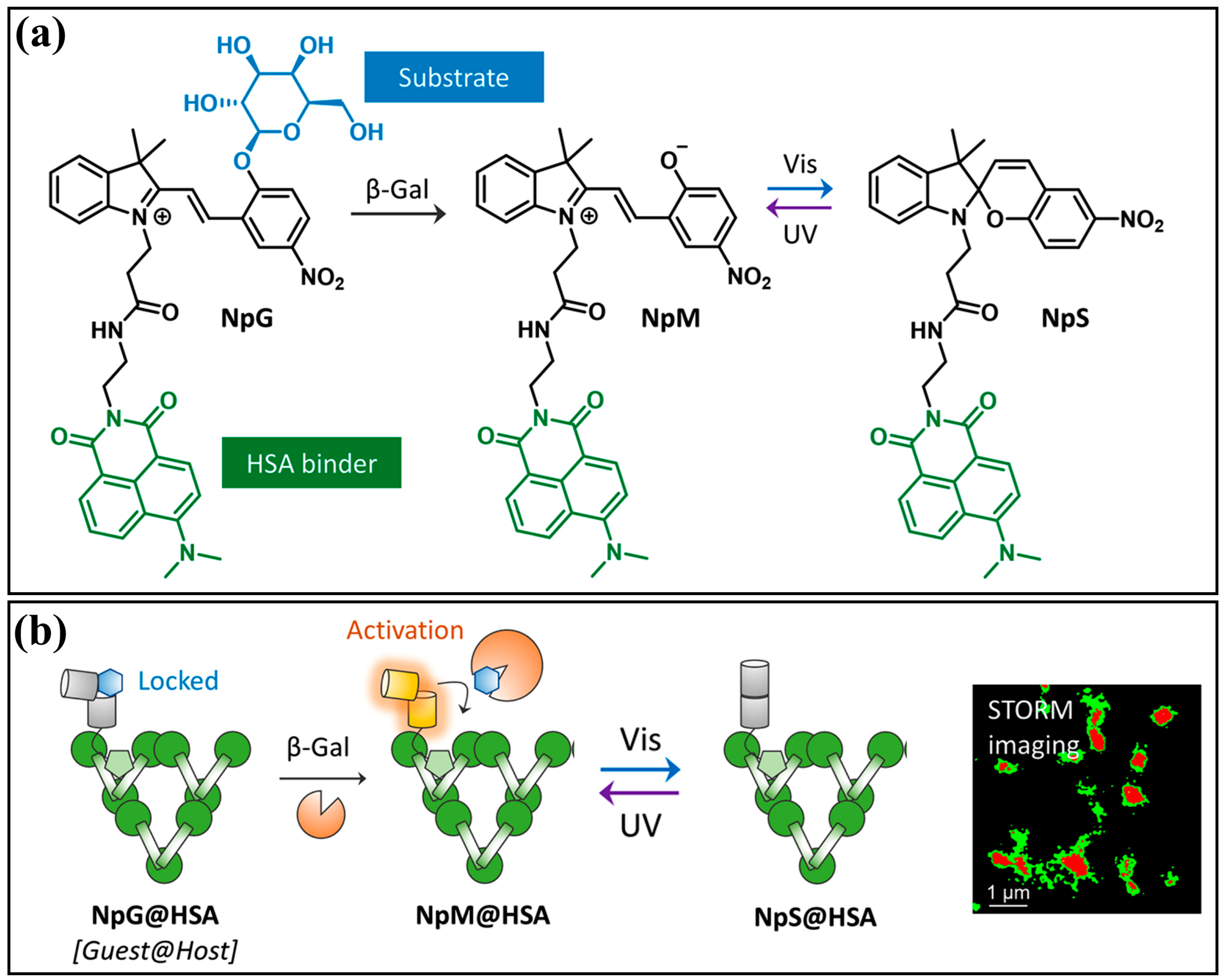 Molecules 29 02521 g018