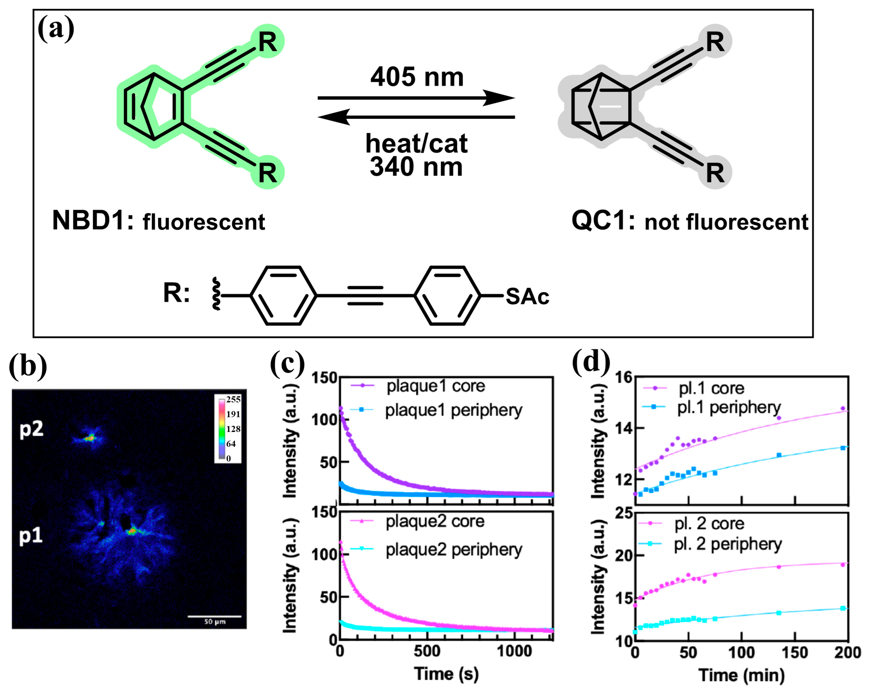 Molecules 29 02521 g020