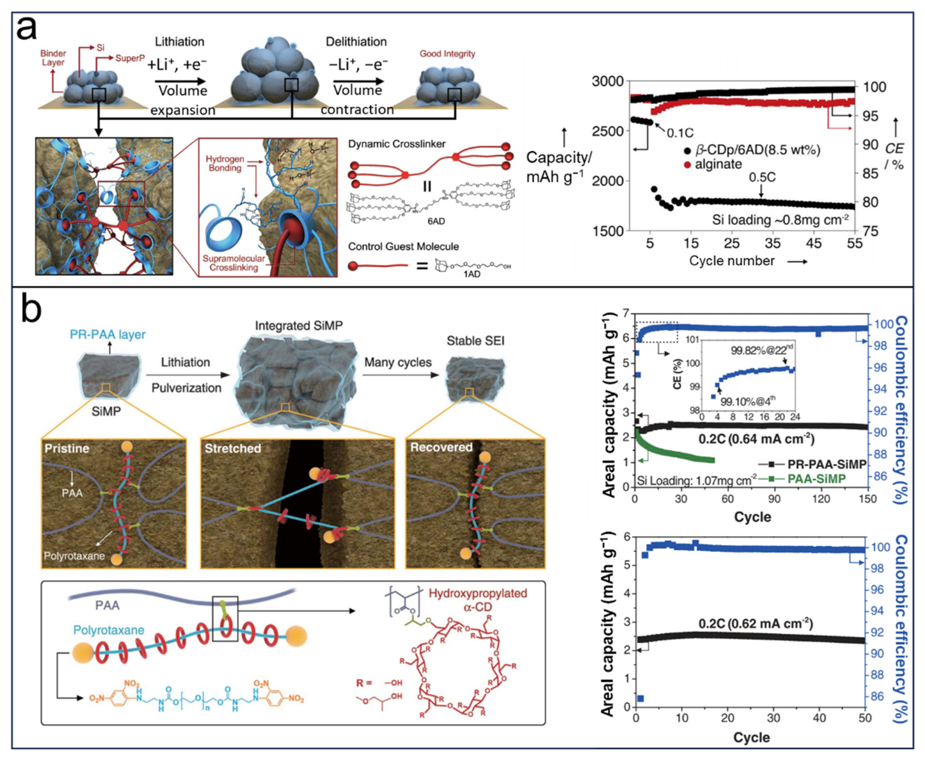 Molecules 29 02522 g003