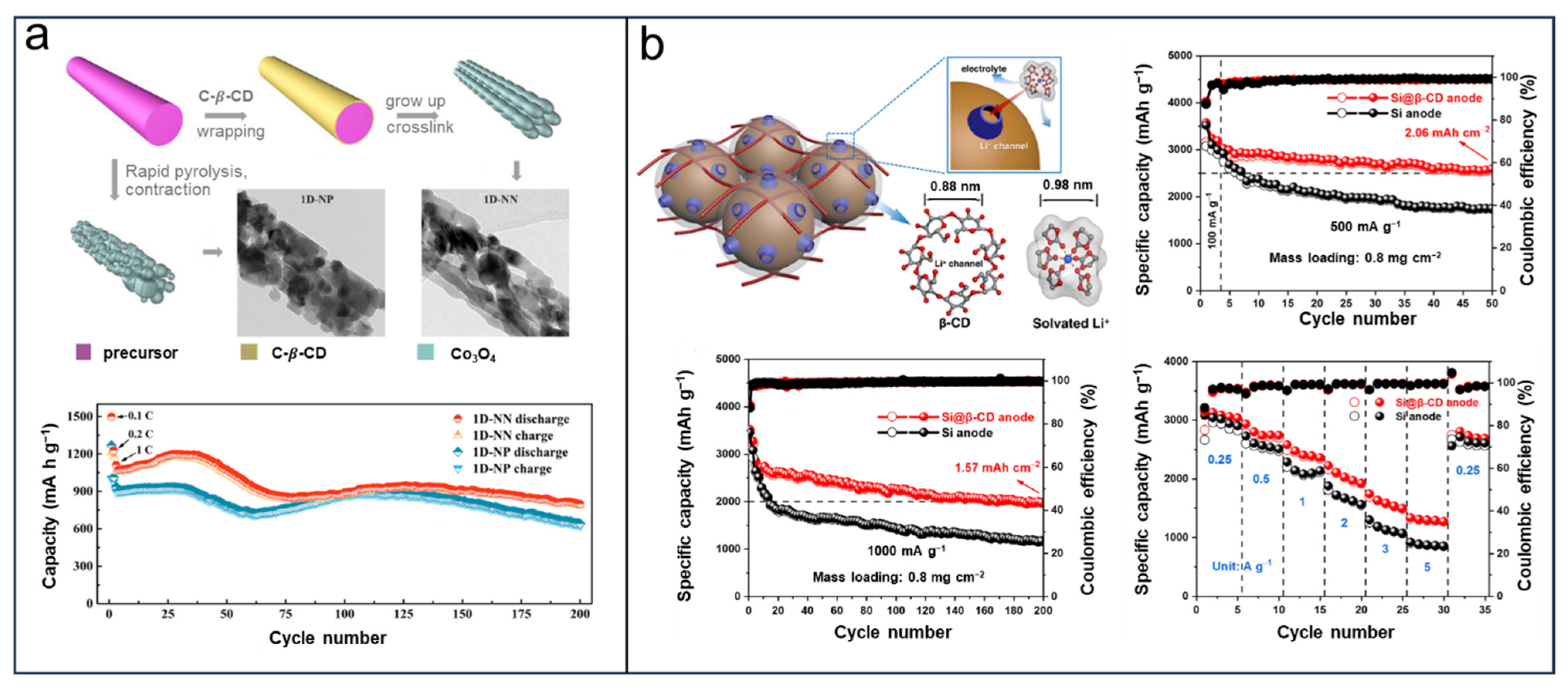 Molecules 29 02522 g004