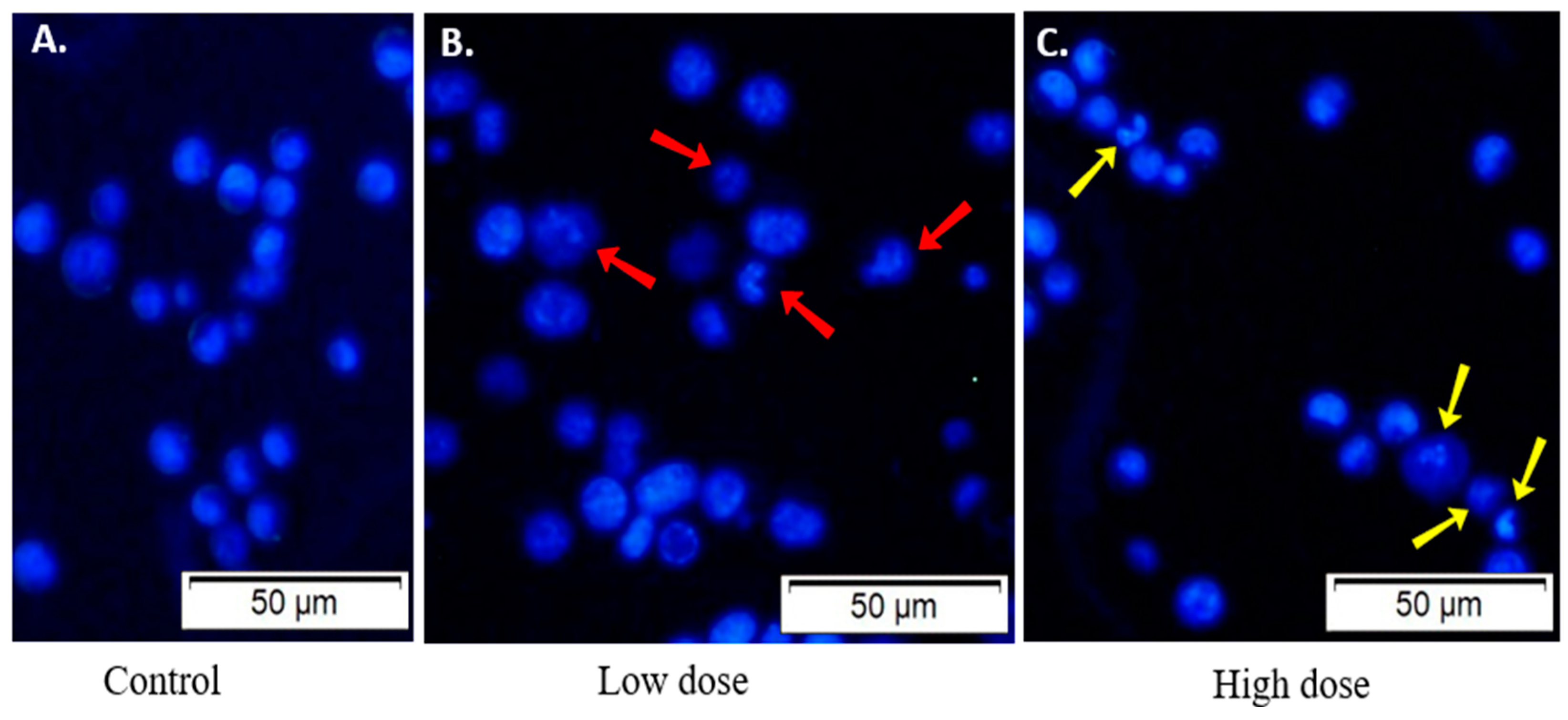 Molecules 29 02531 g007
