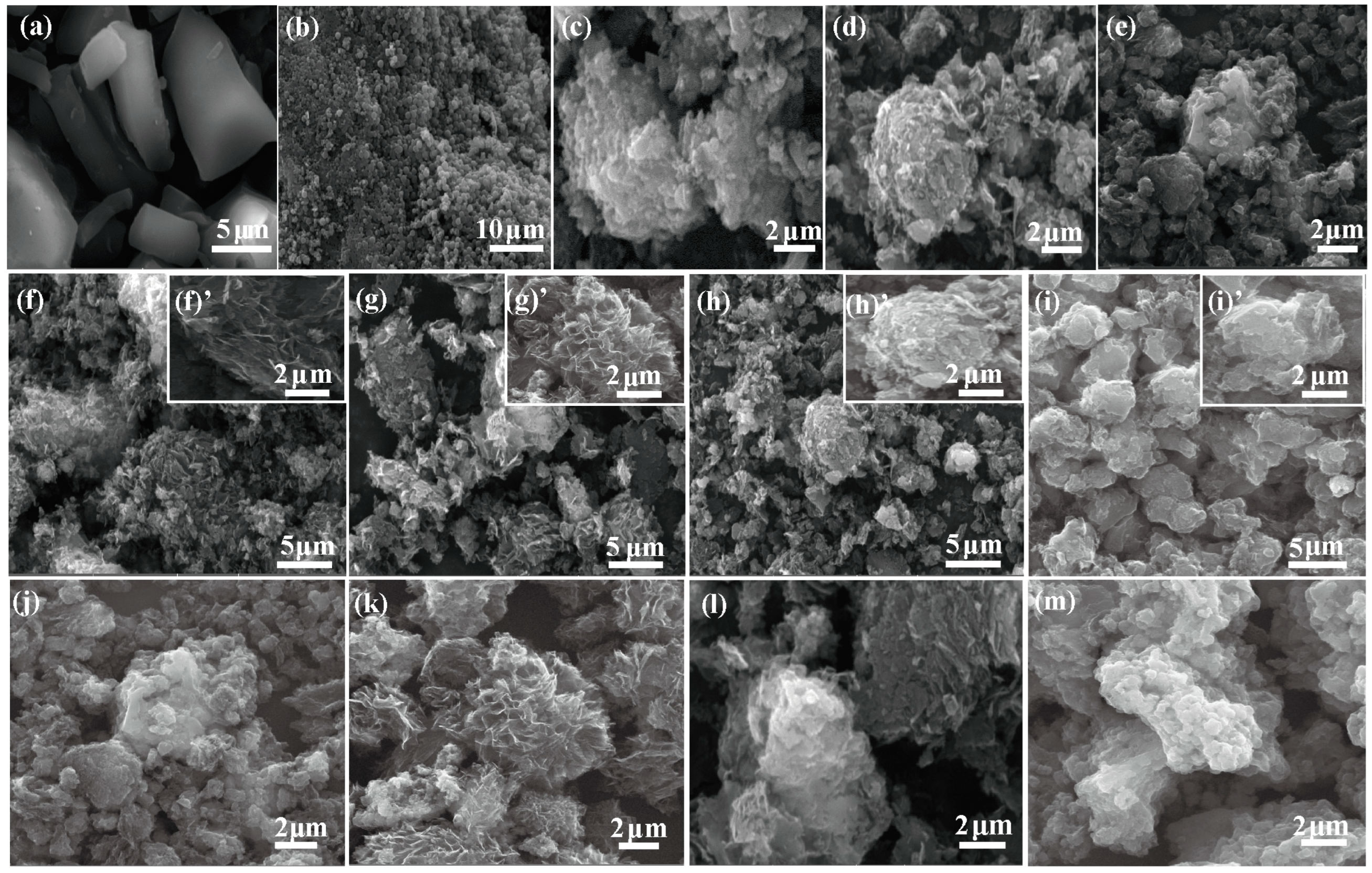 Molecules 29 02532 g001