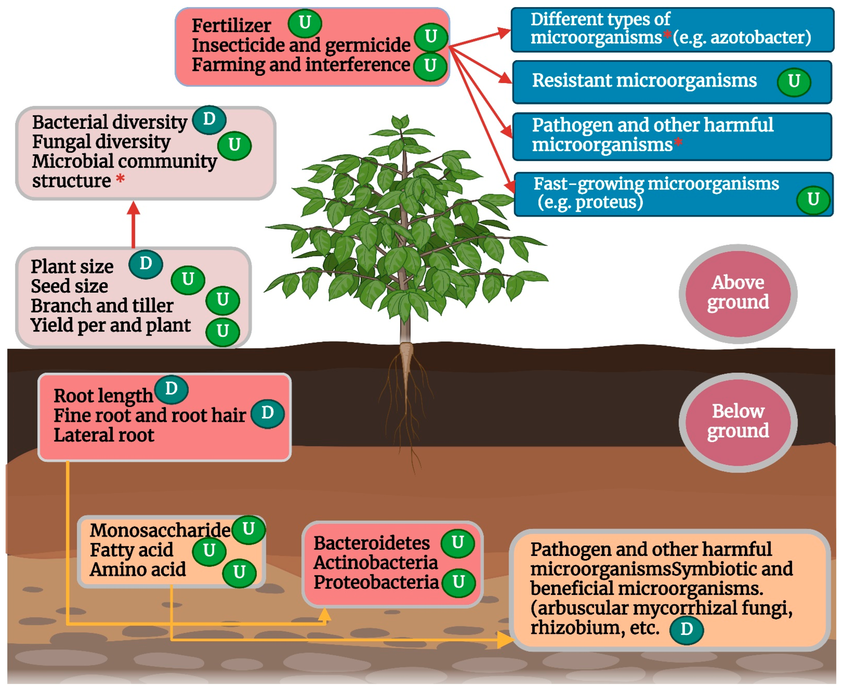 Molecules 29 02534 g003