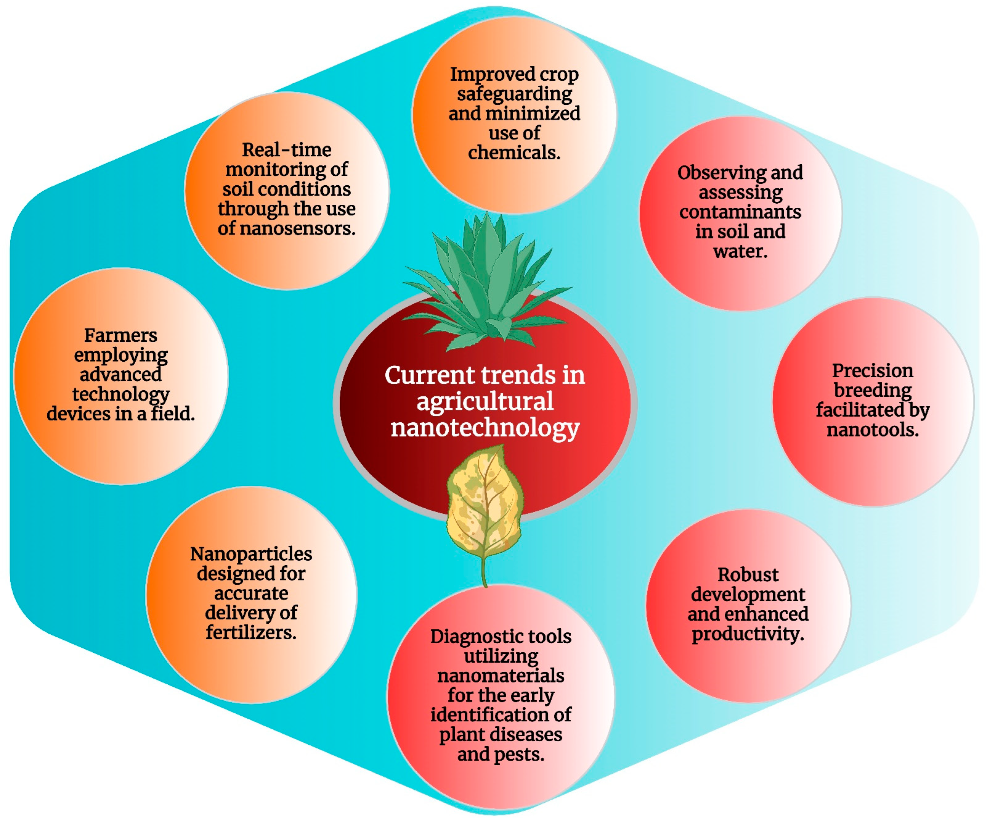 Molecules 29 02534 g004