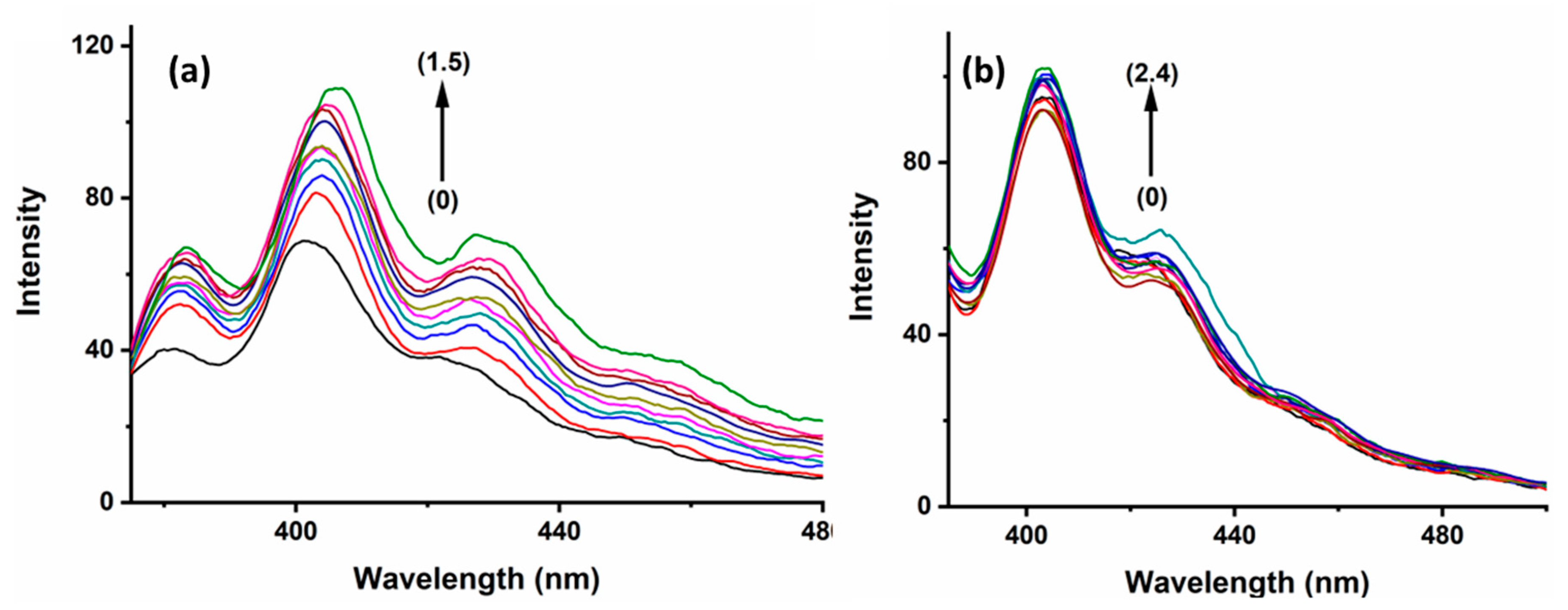 Molecules 29 02535 g003