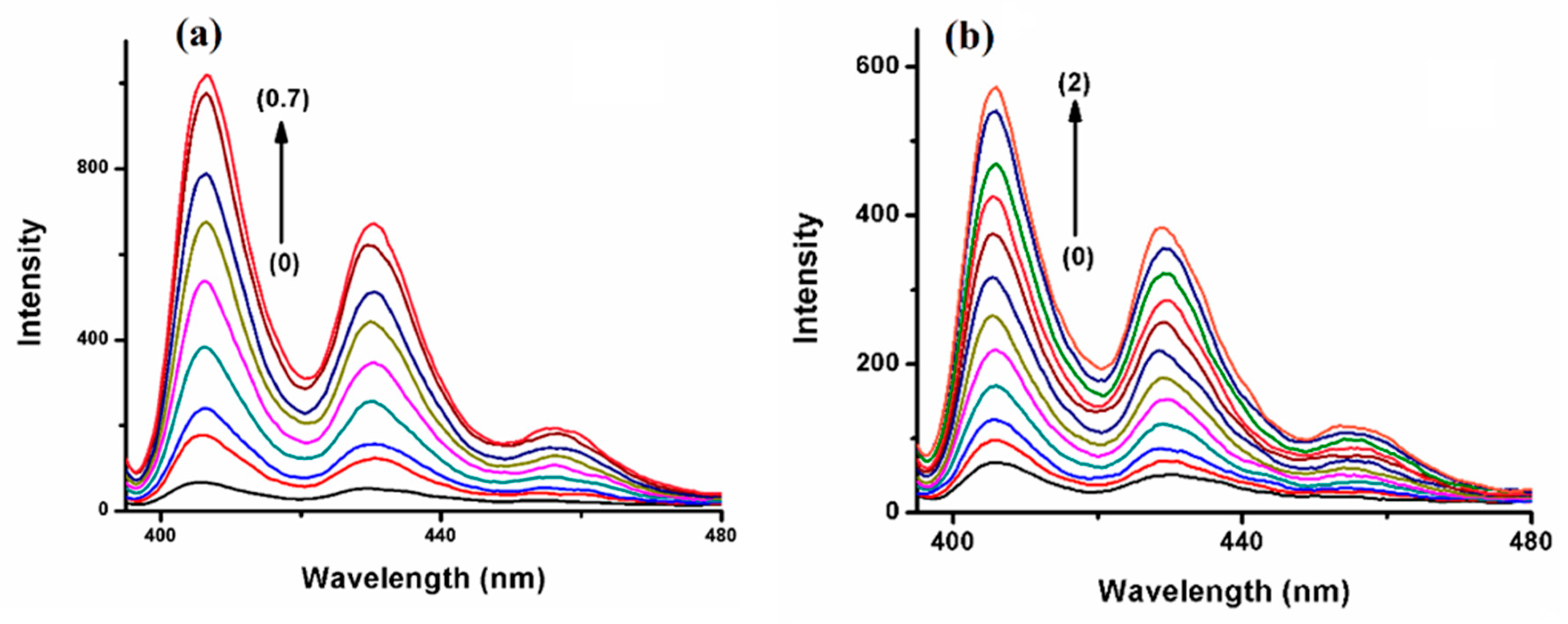 Molecules 29 02535 g004
