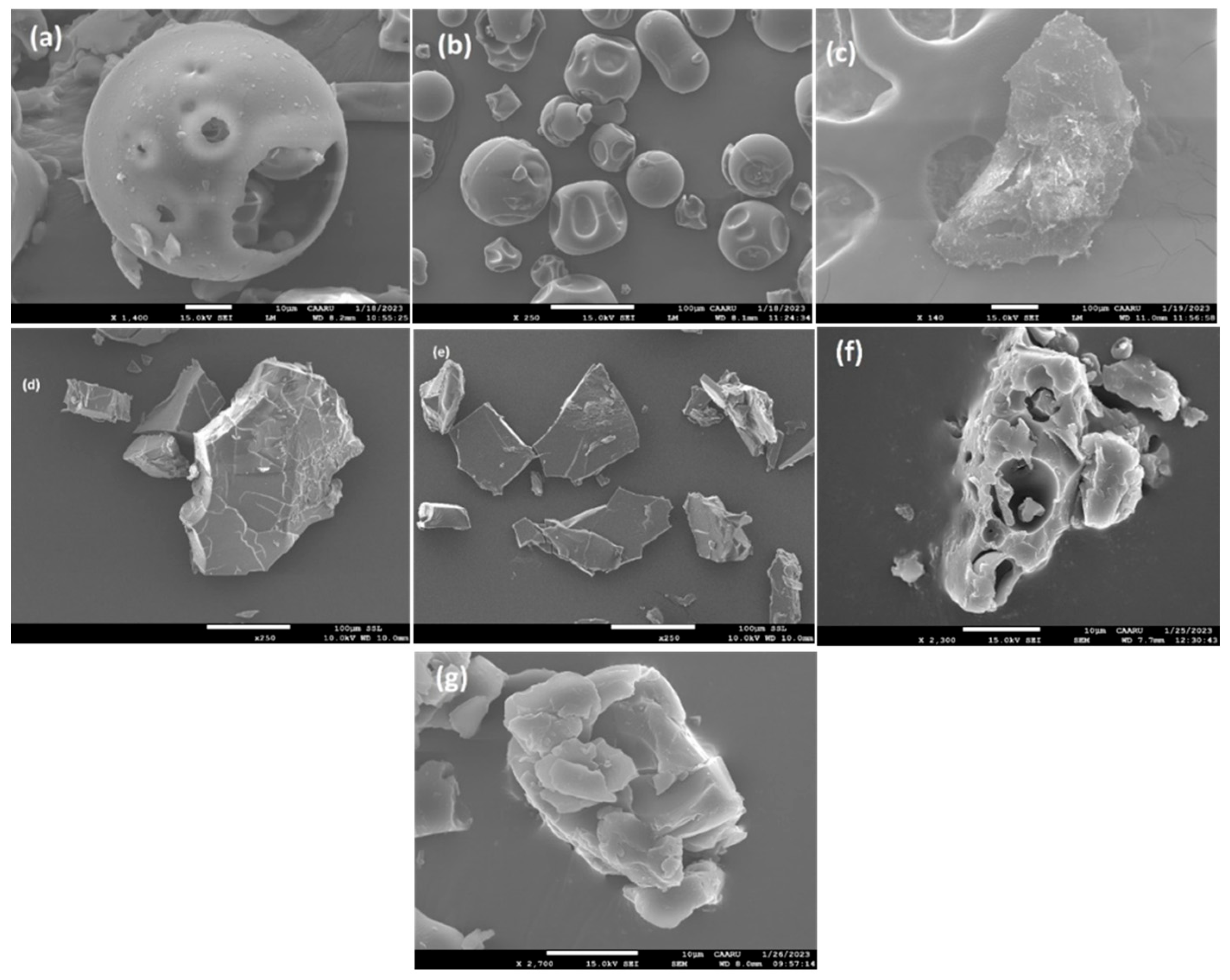 Molecules 29 02535 g012