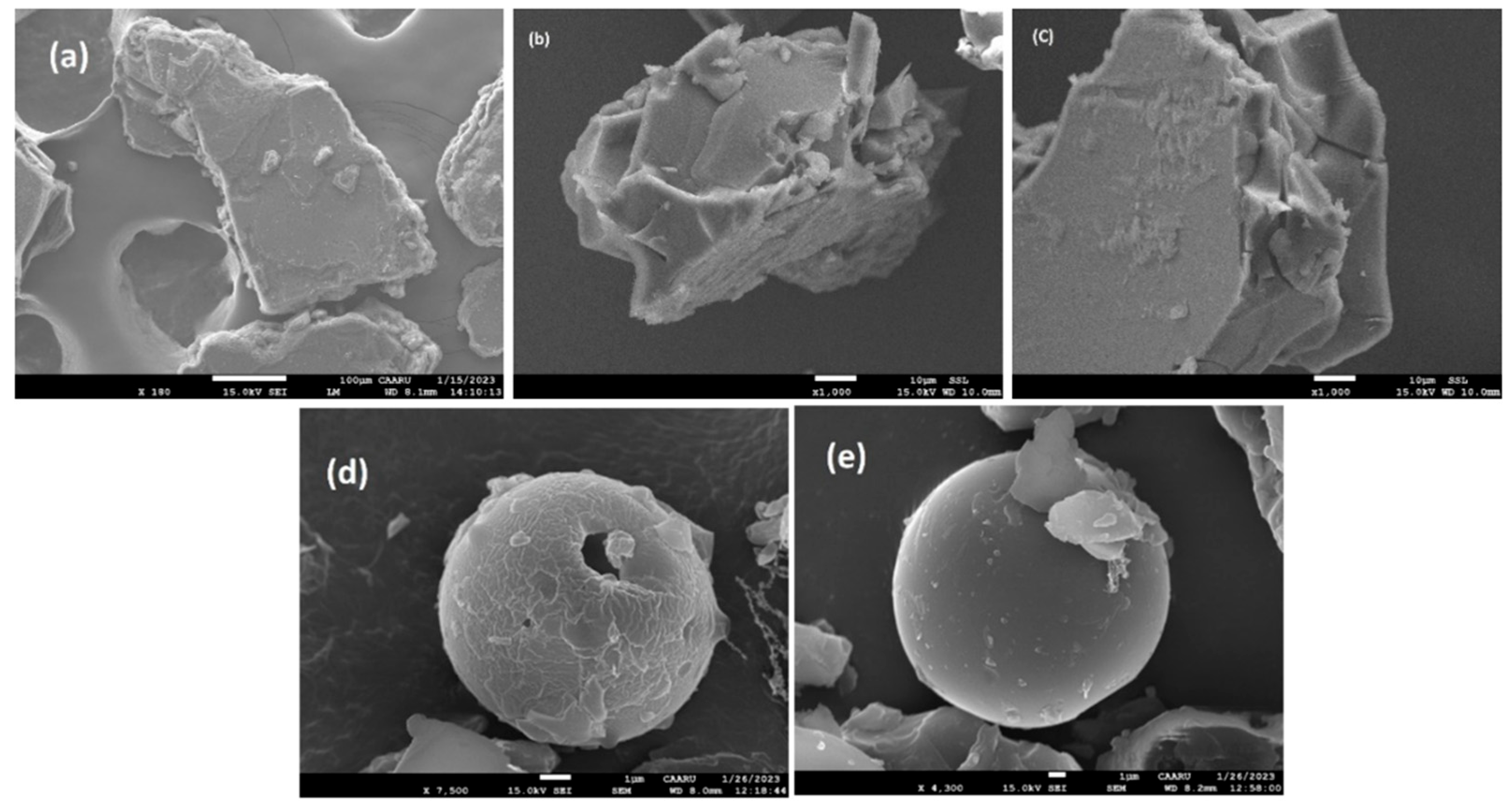 Molecules 29 02535 g013