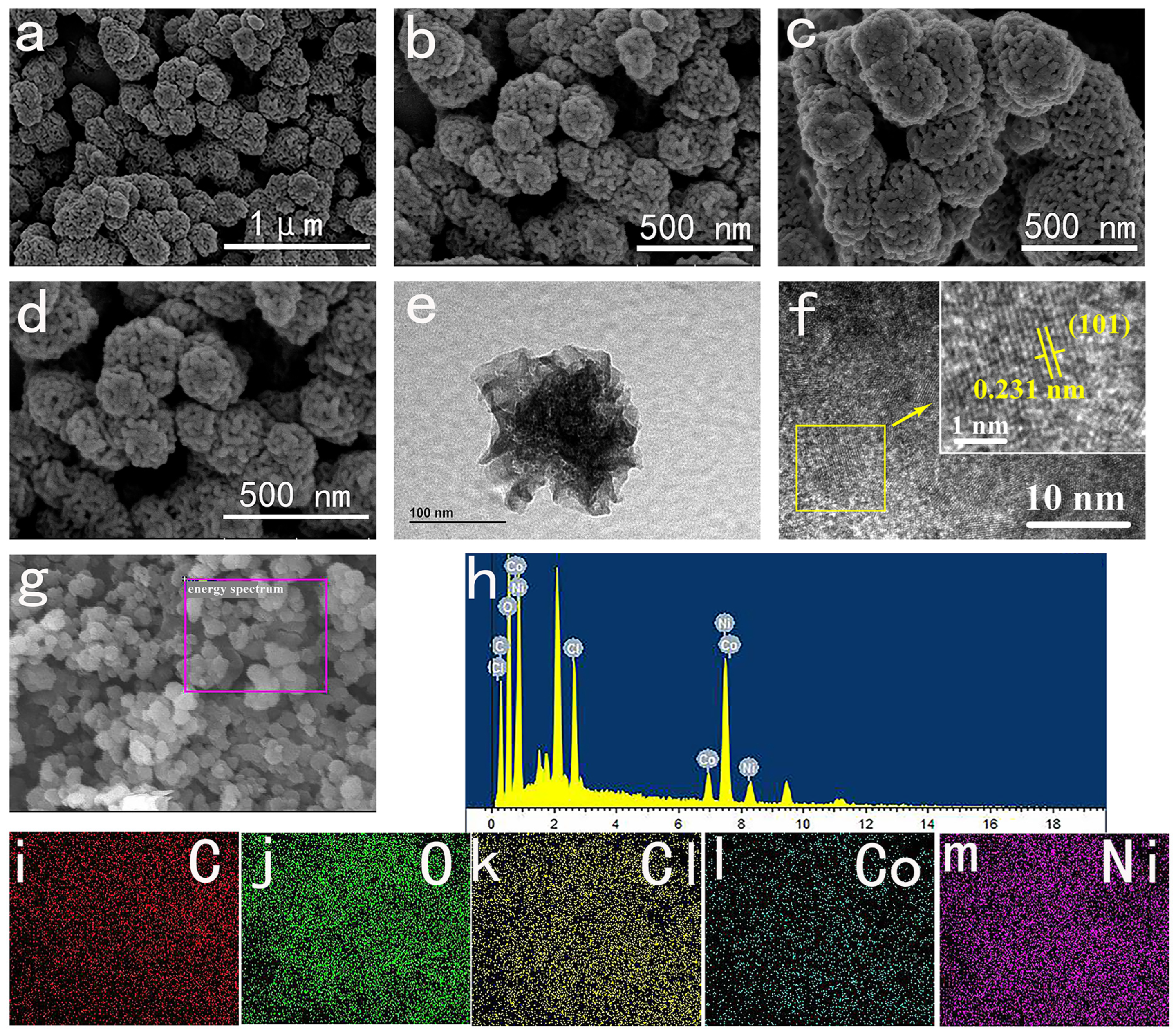 Molecules 29 02546 g002