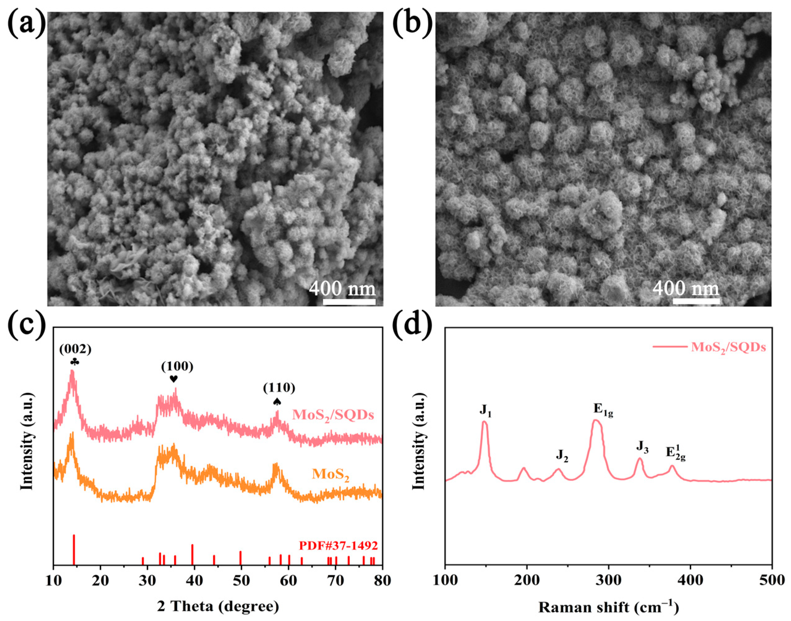 Molecules 29 02551 g001