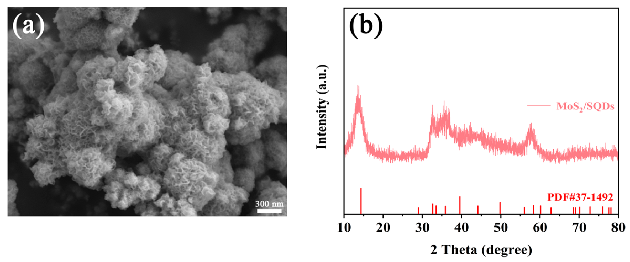 Molecules 29 02551 g006