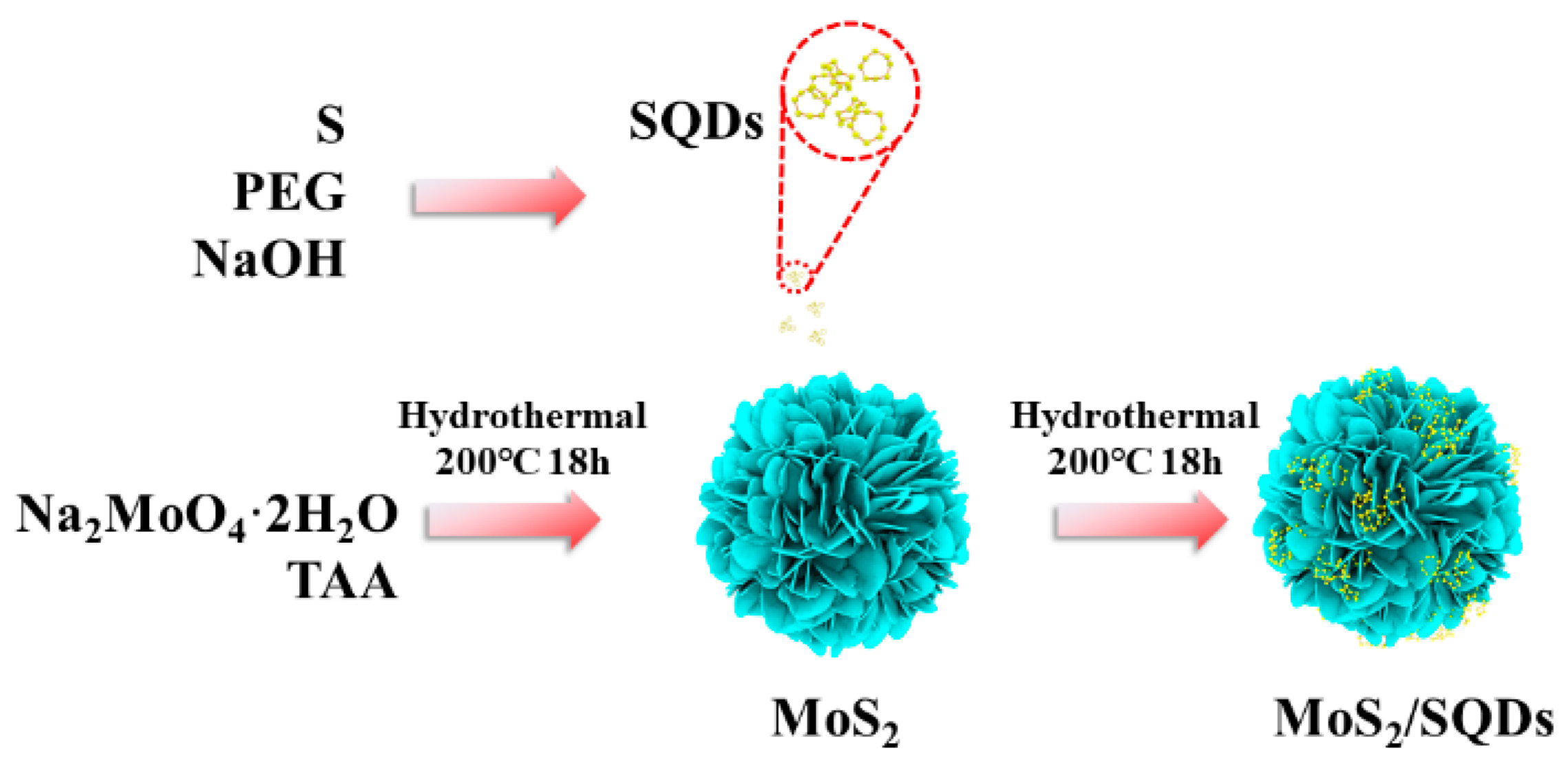 Molecules 29 02551 g007