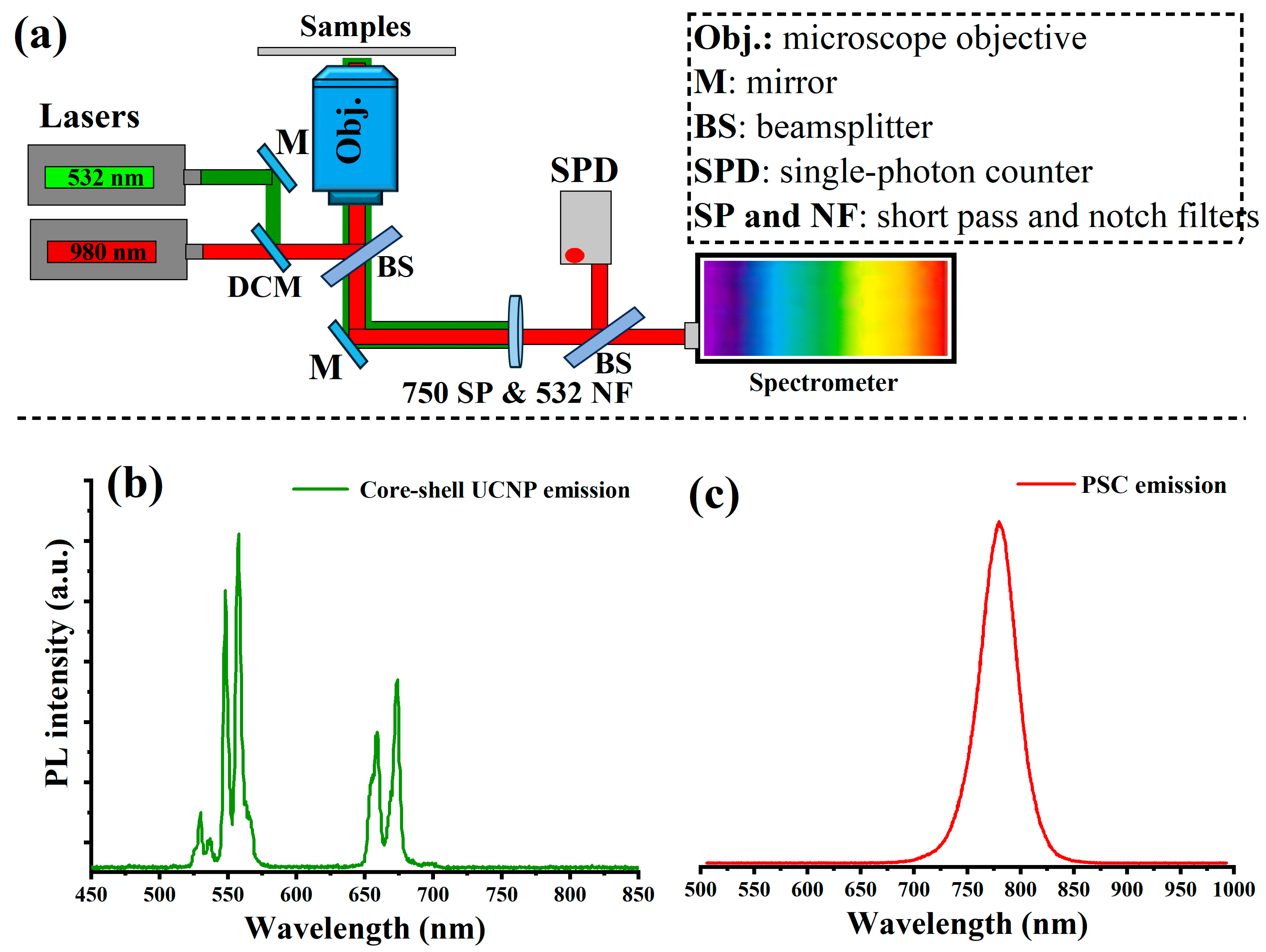 Molecules 29 02556 g003