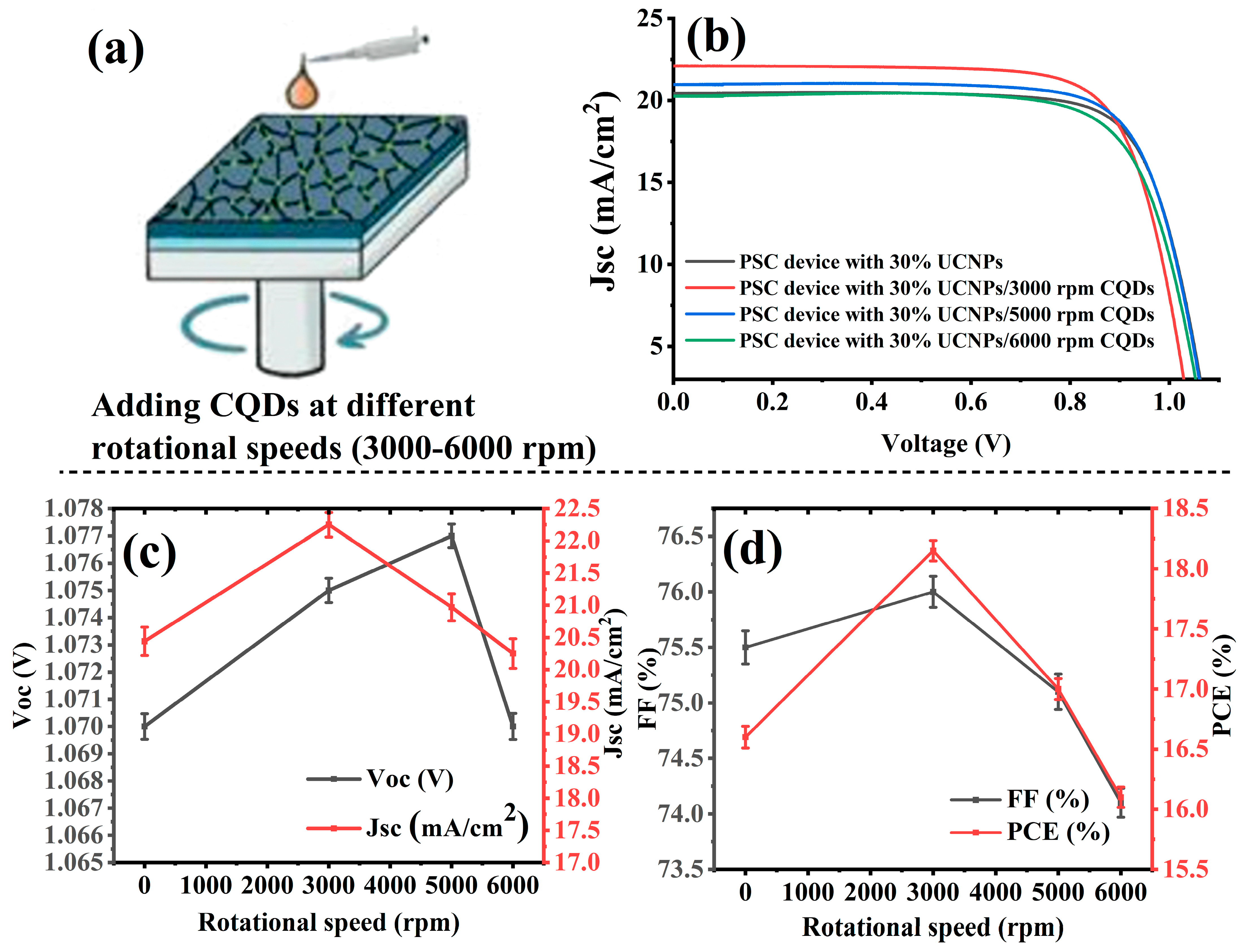 Molecules 29 02556 g005