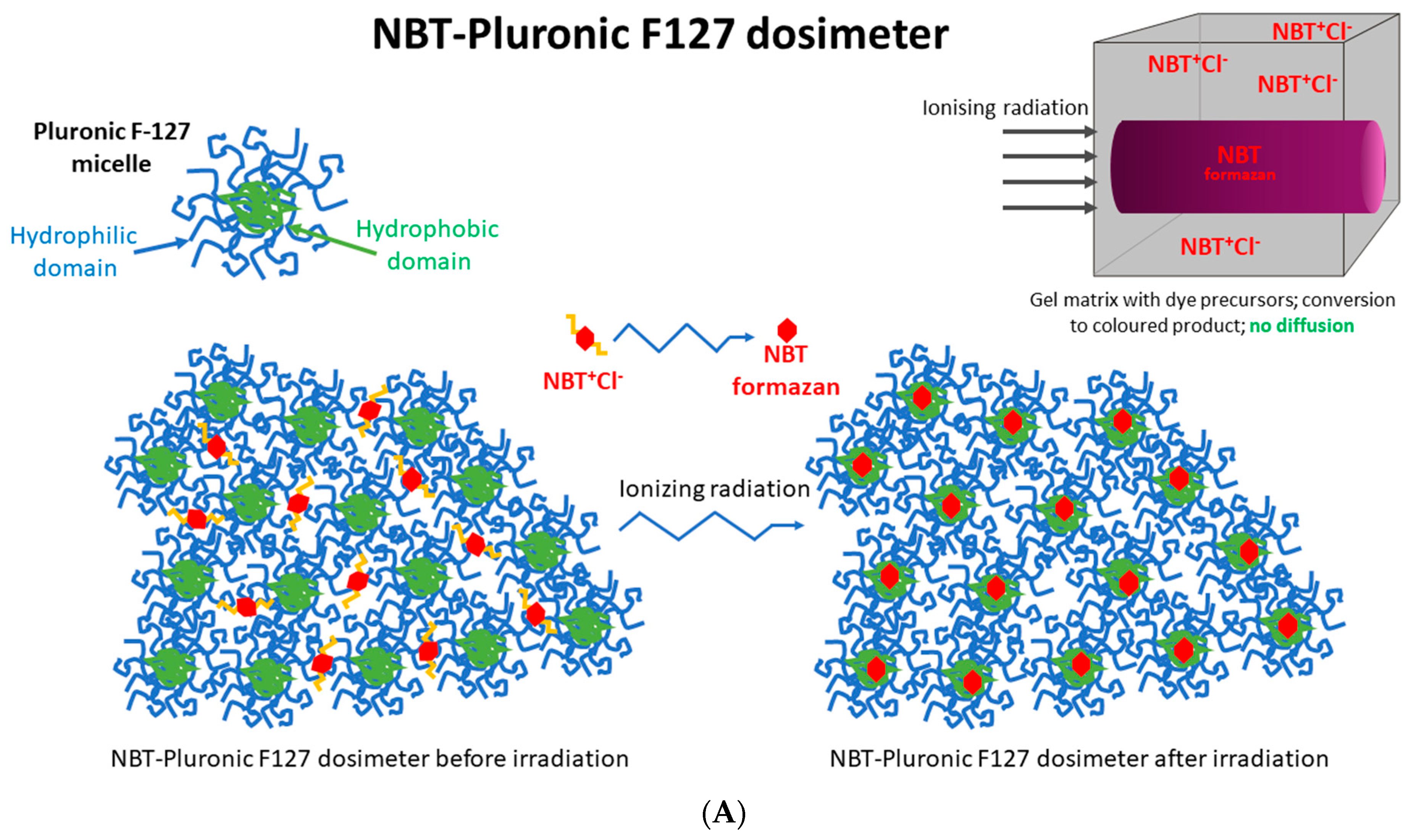 Molecules 29 02558 g001a