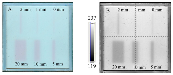 Molecules 29 02558 g005a
