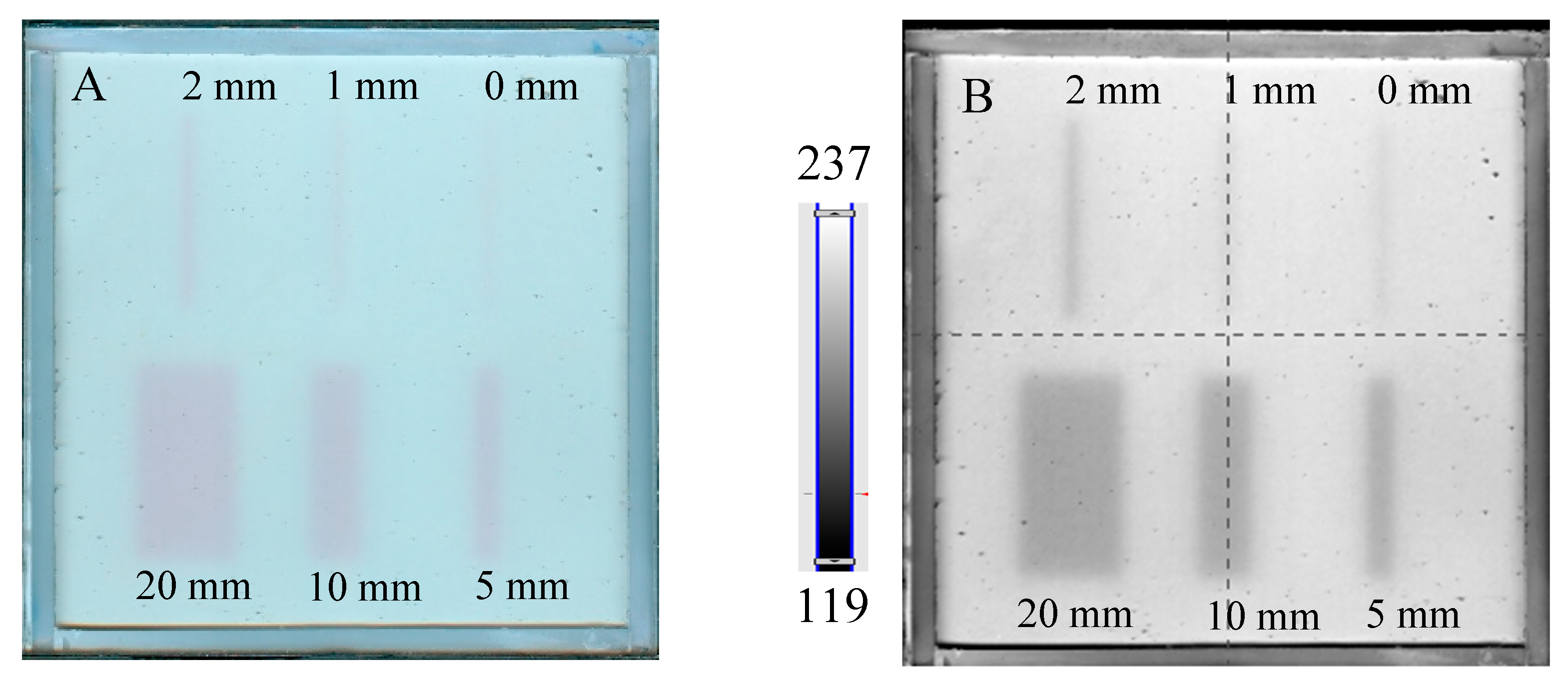 Molecules 29 02558 g005a