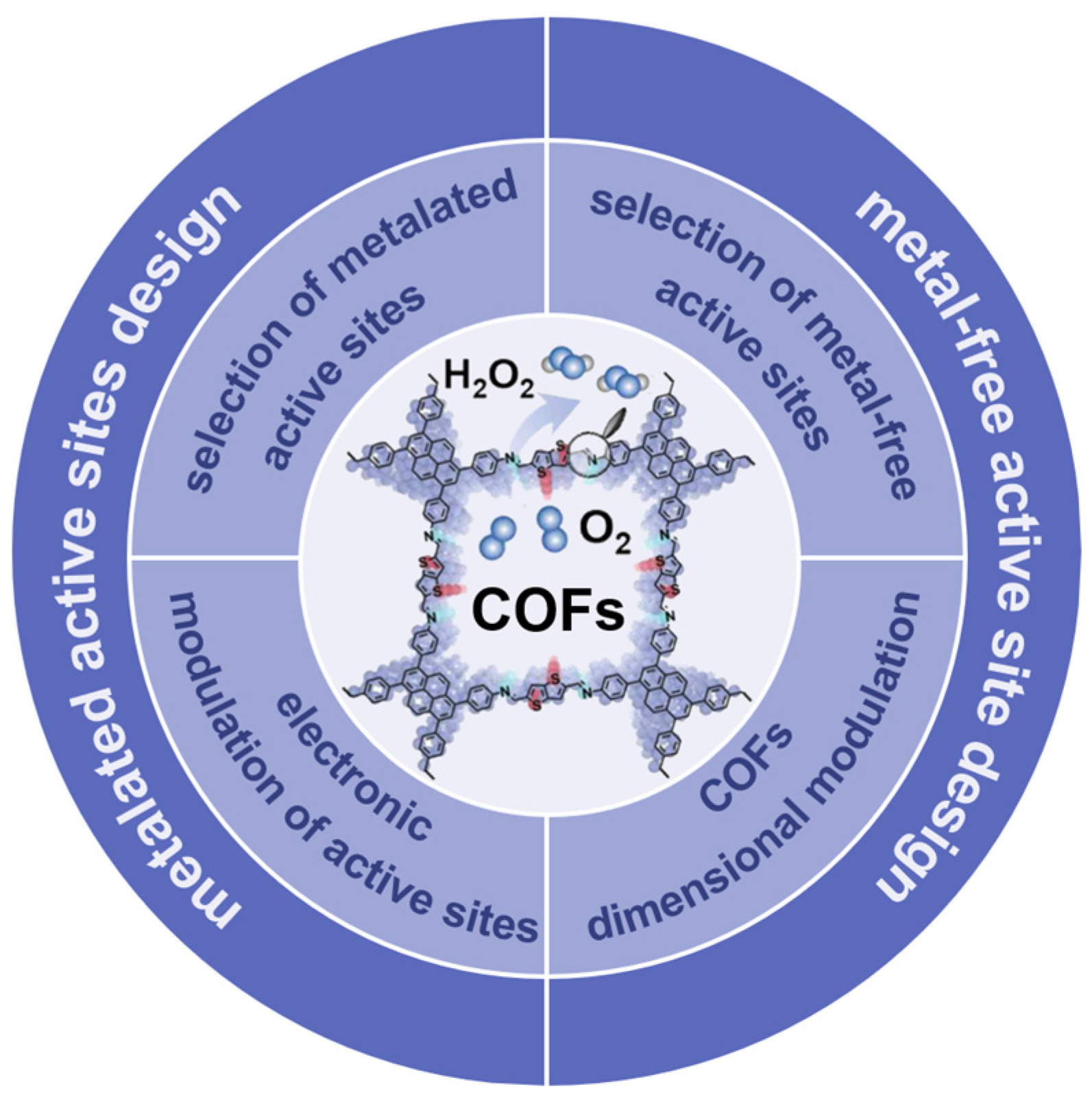 Molecules 29 02563 g001