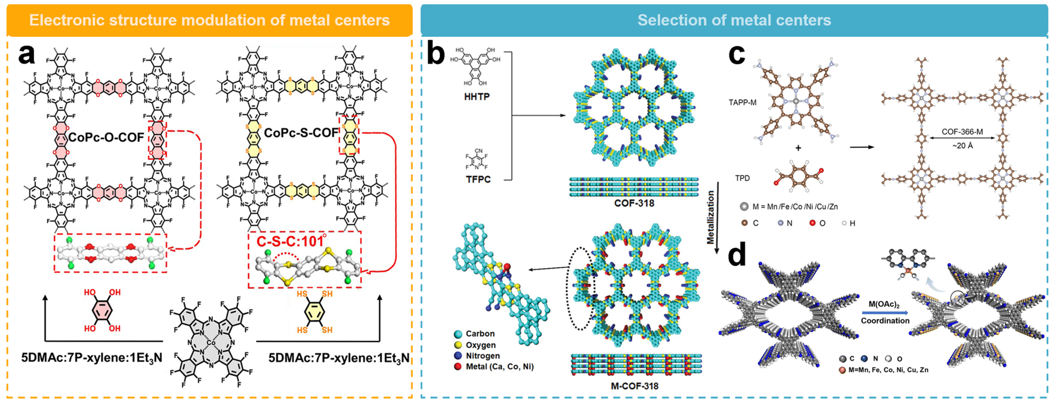 Molecules 29 02563 g007
