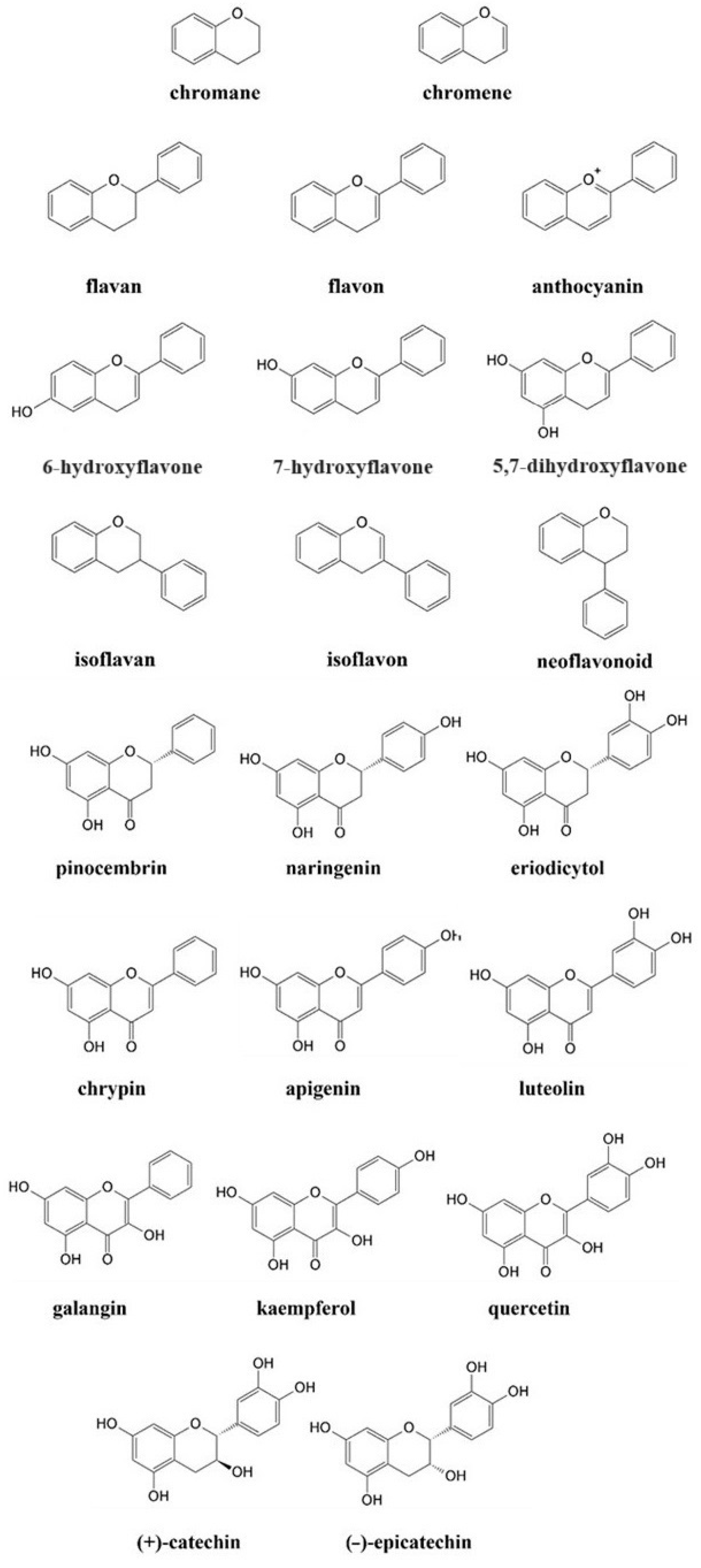 Molecules 29 02573 g001