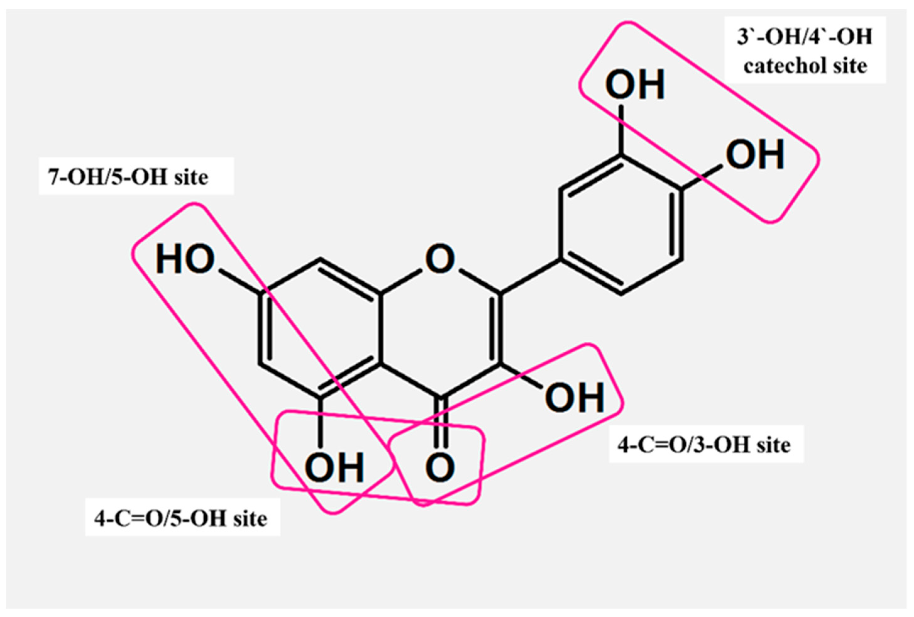 Molecules 29 02573 g004
